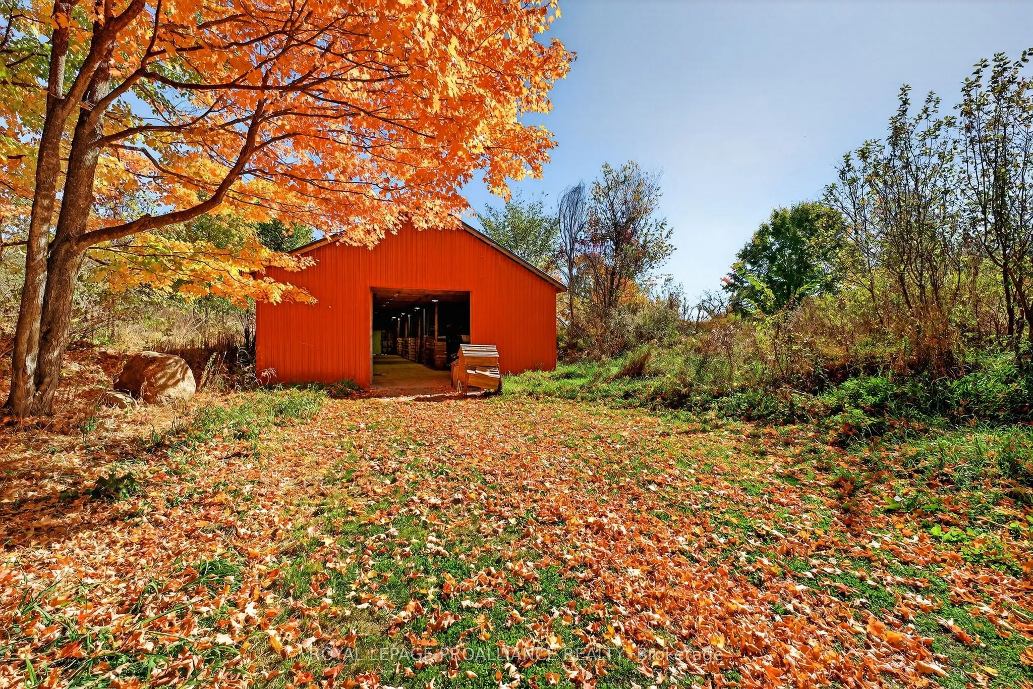 1103 Cronk Road