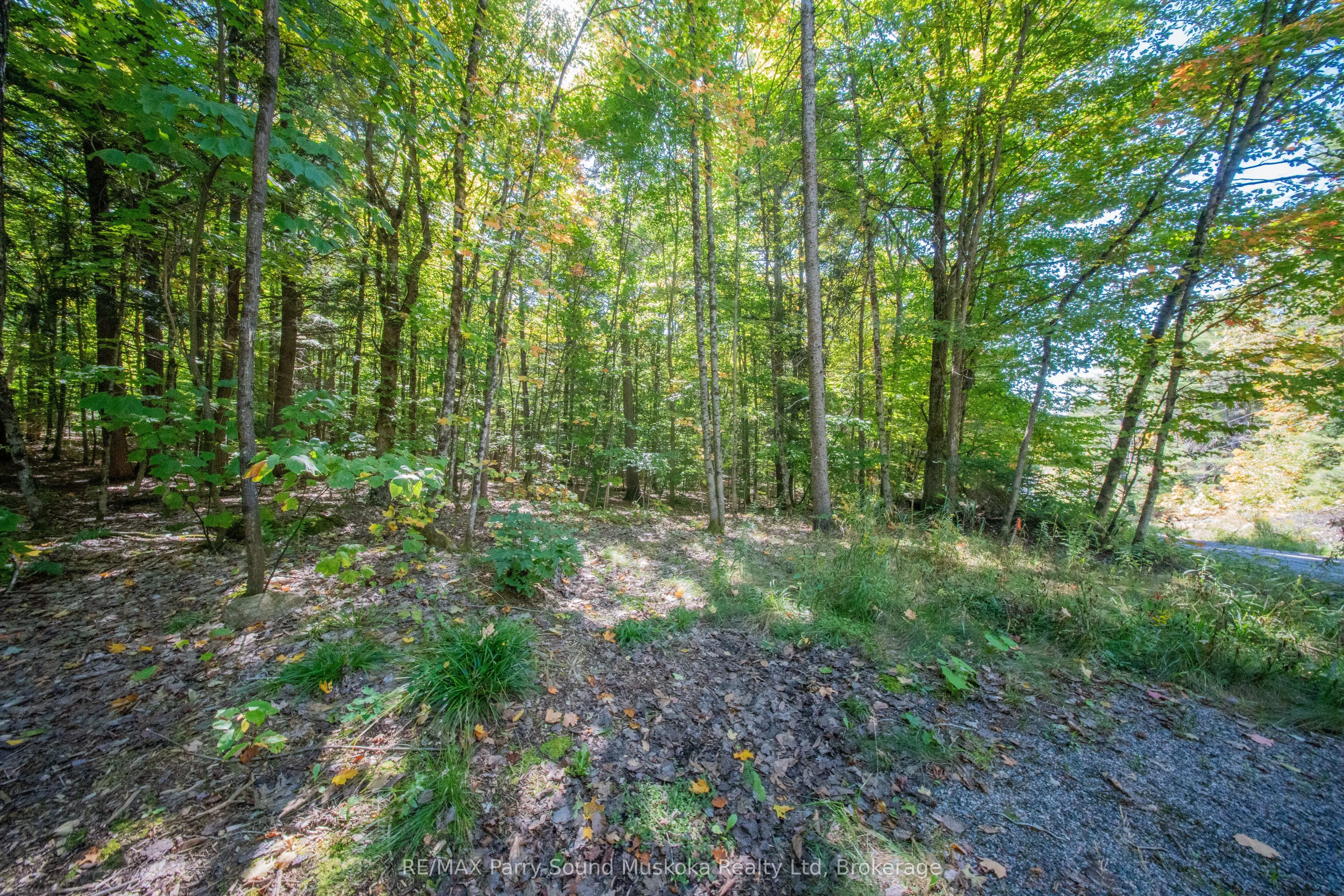 72 McCauley Road