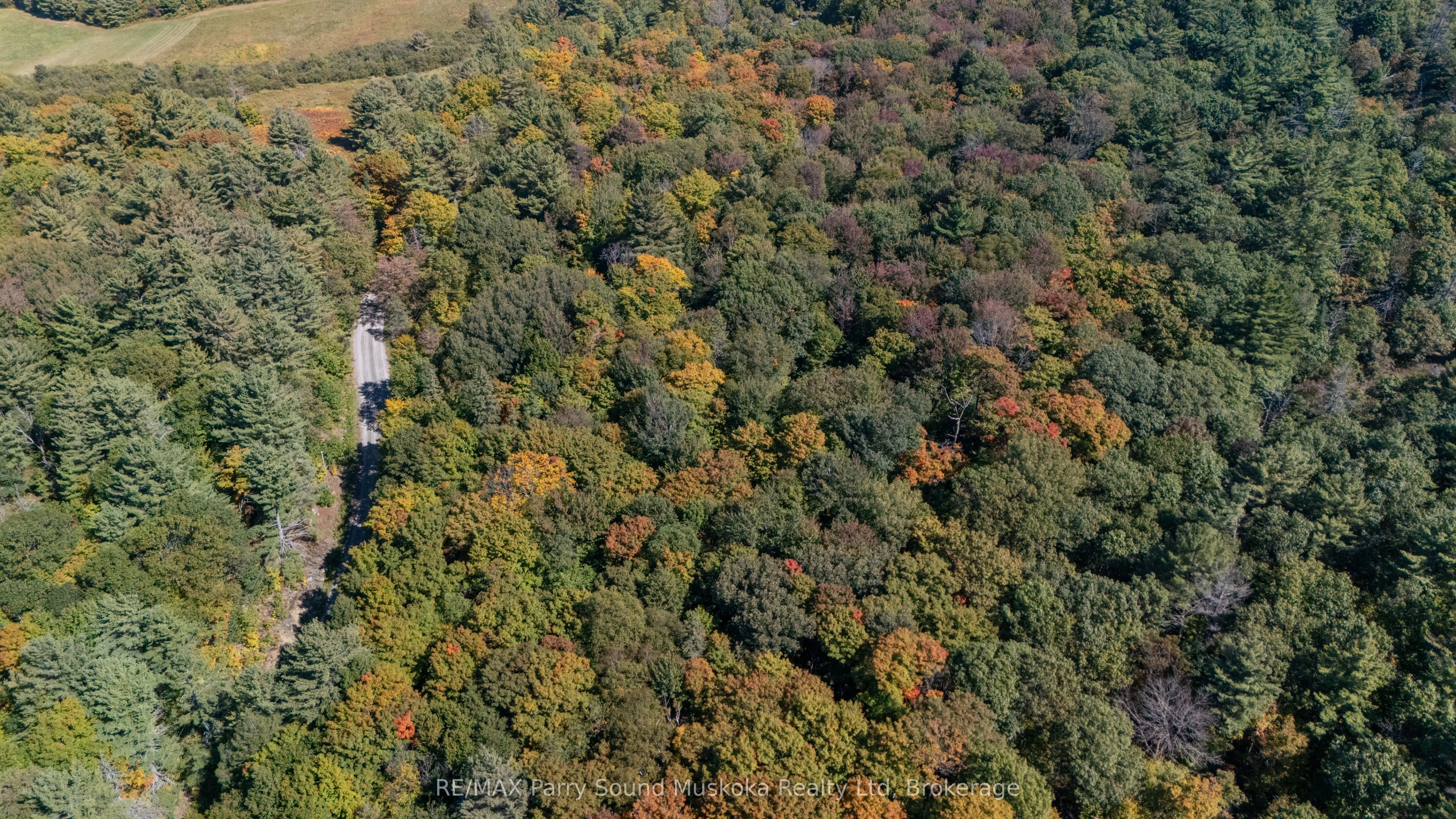 72 McCauley Road