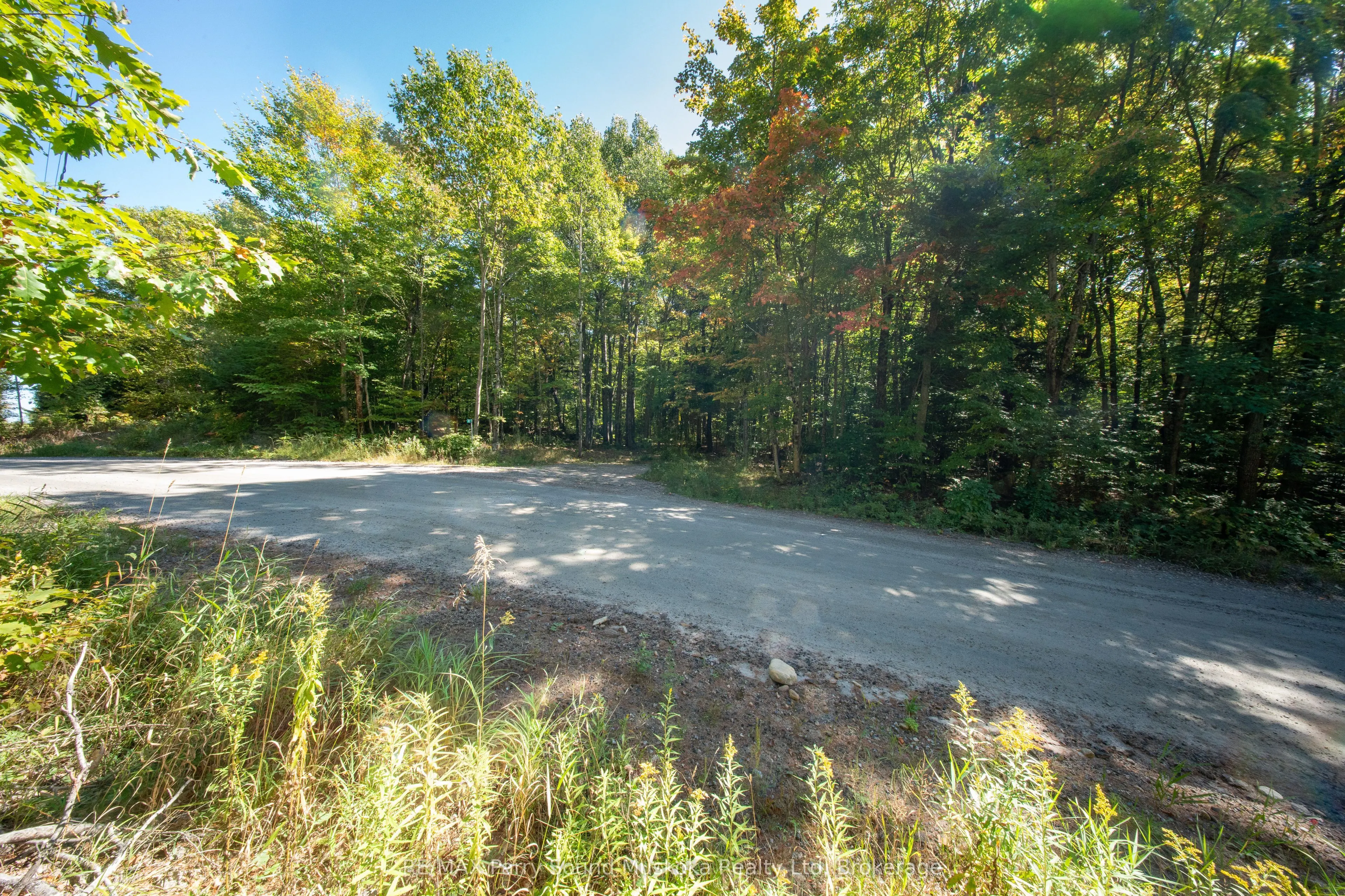 72 McCauley Road