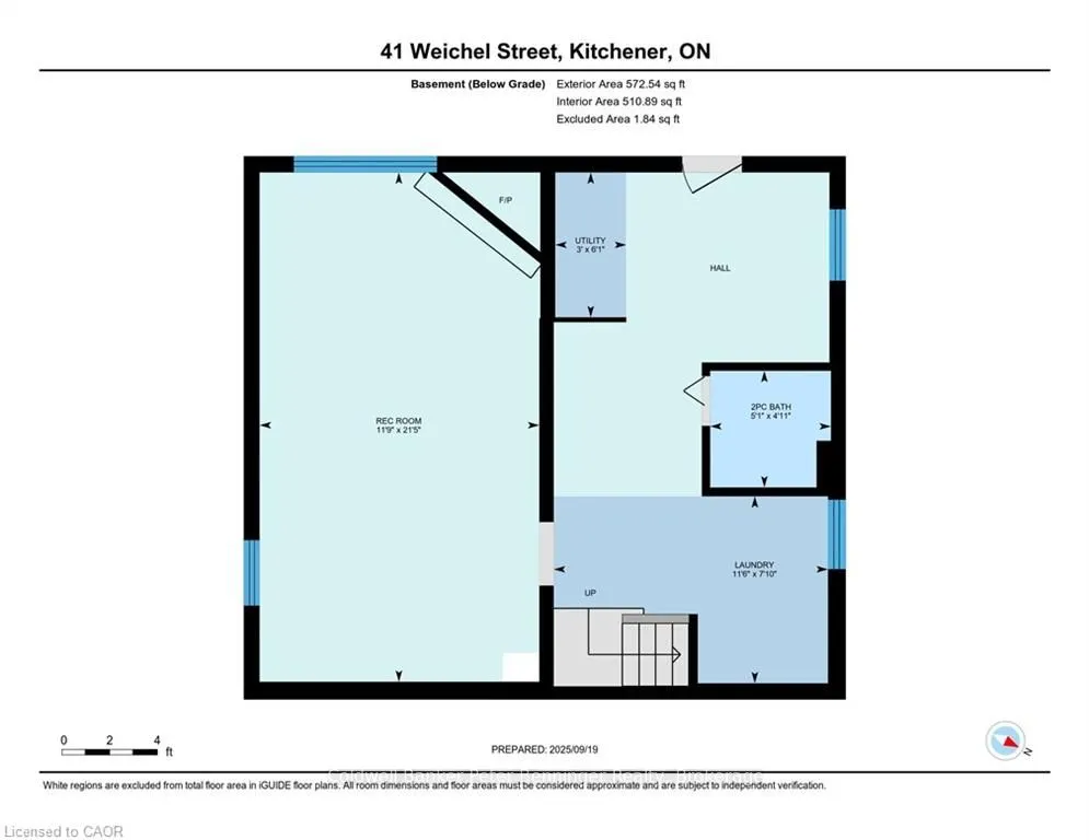 41 Weichel Street