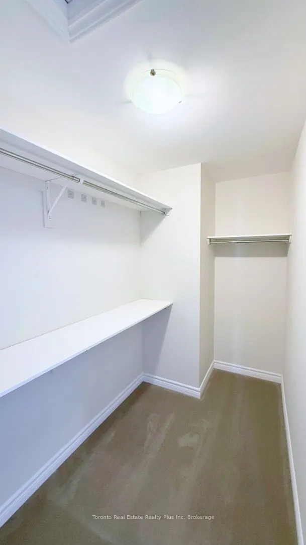 90 NEPETA Crescent