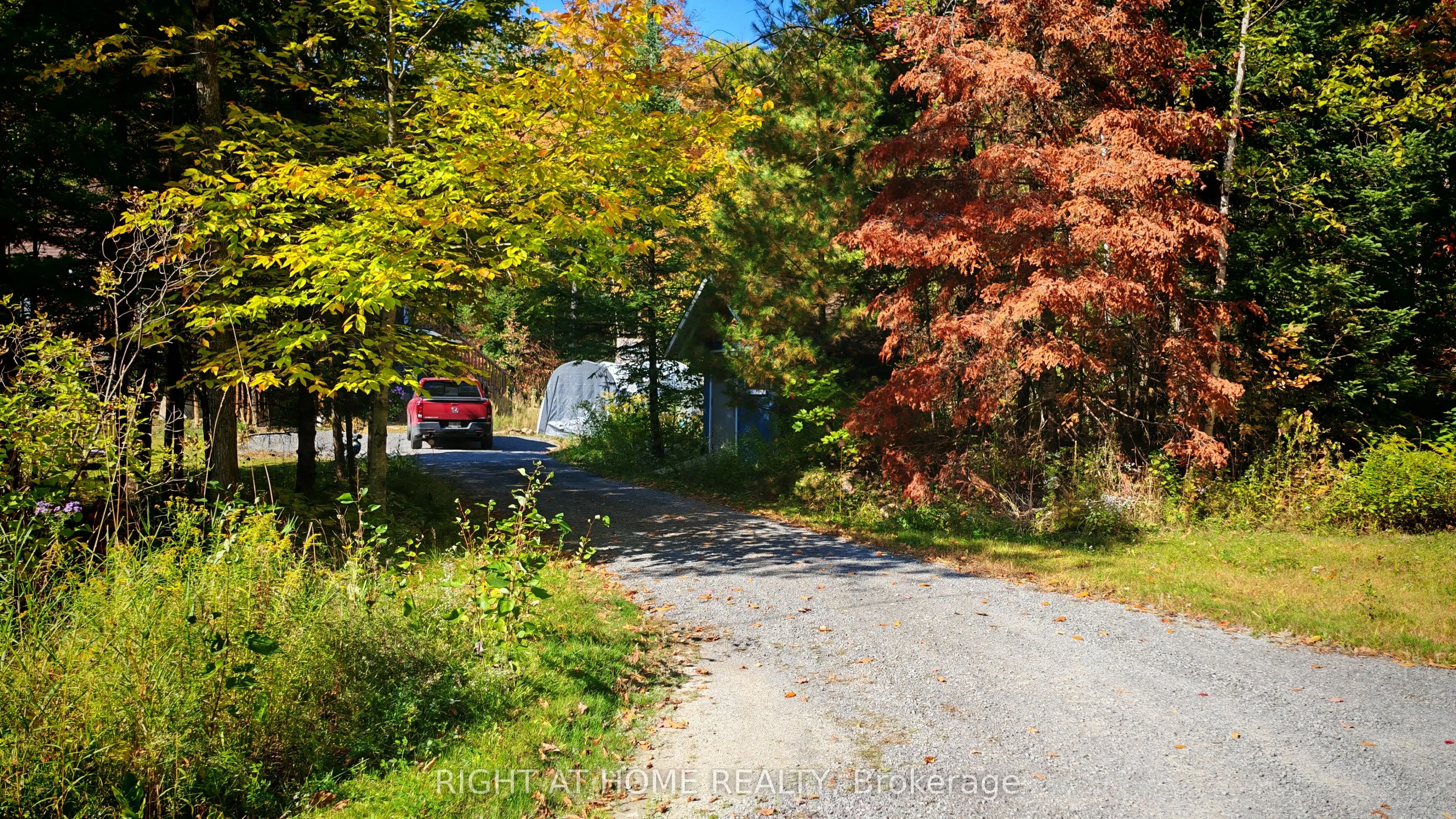 761 JACK LAKE Road