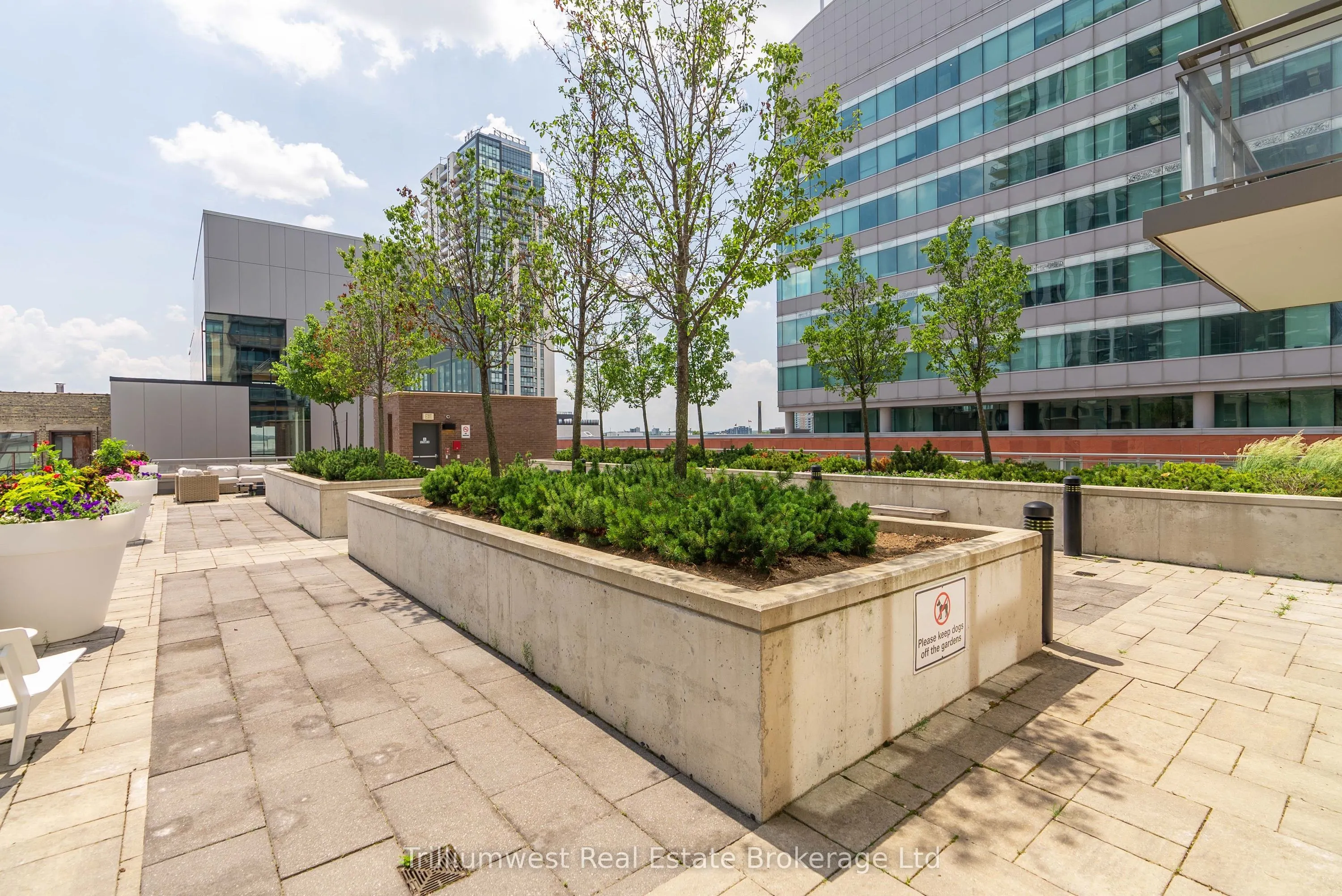 85 Duke Street W, #209