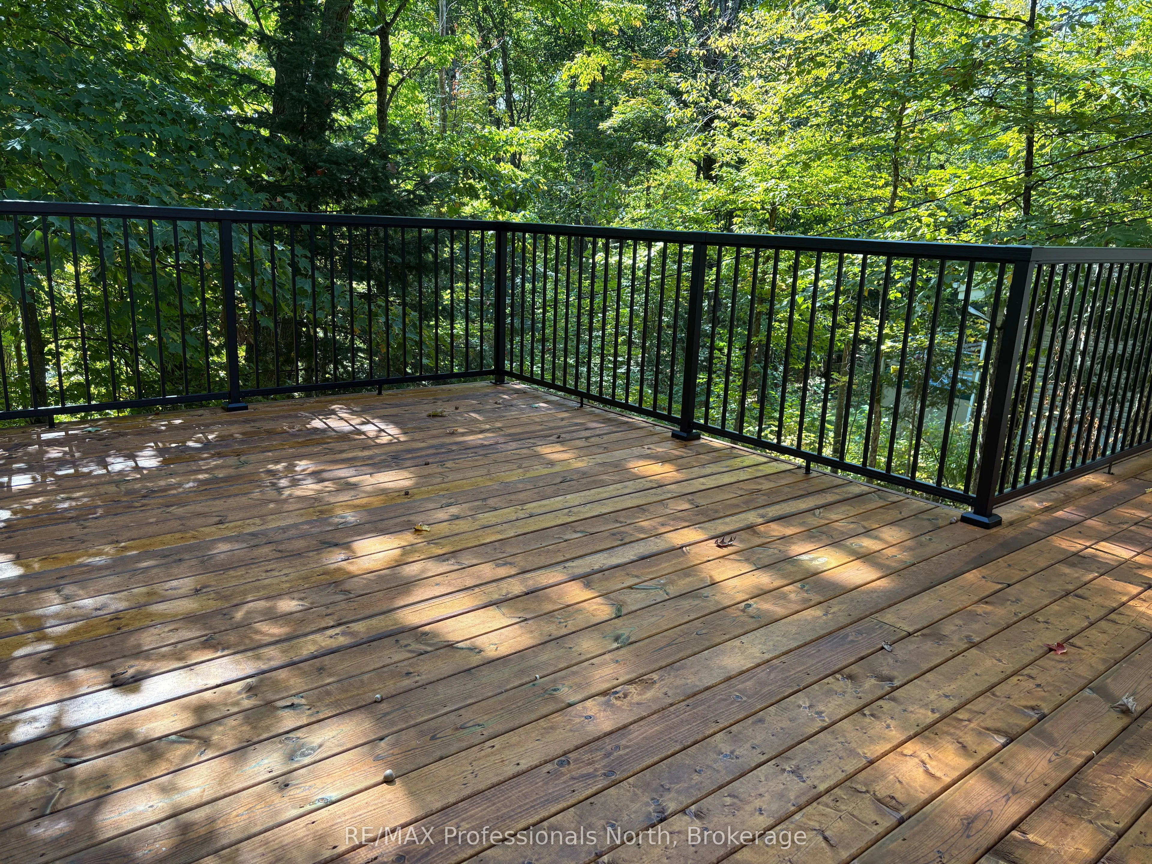 116 Woodland Drive