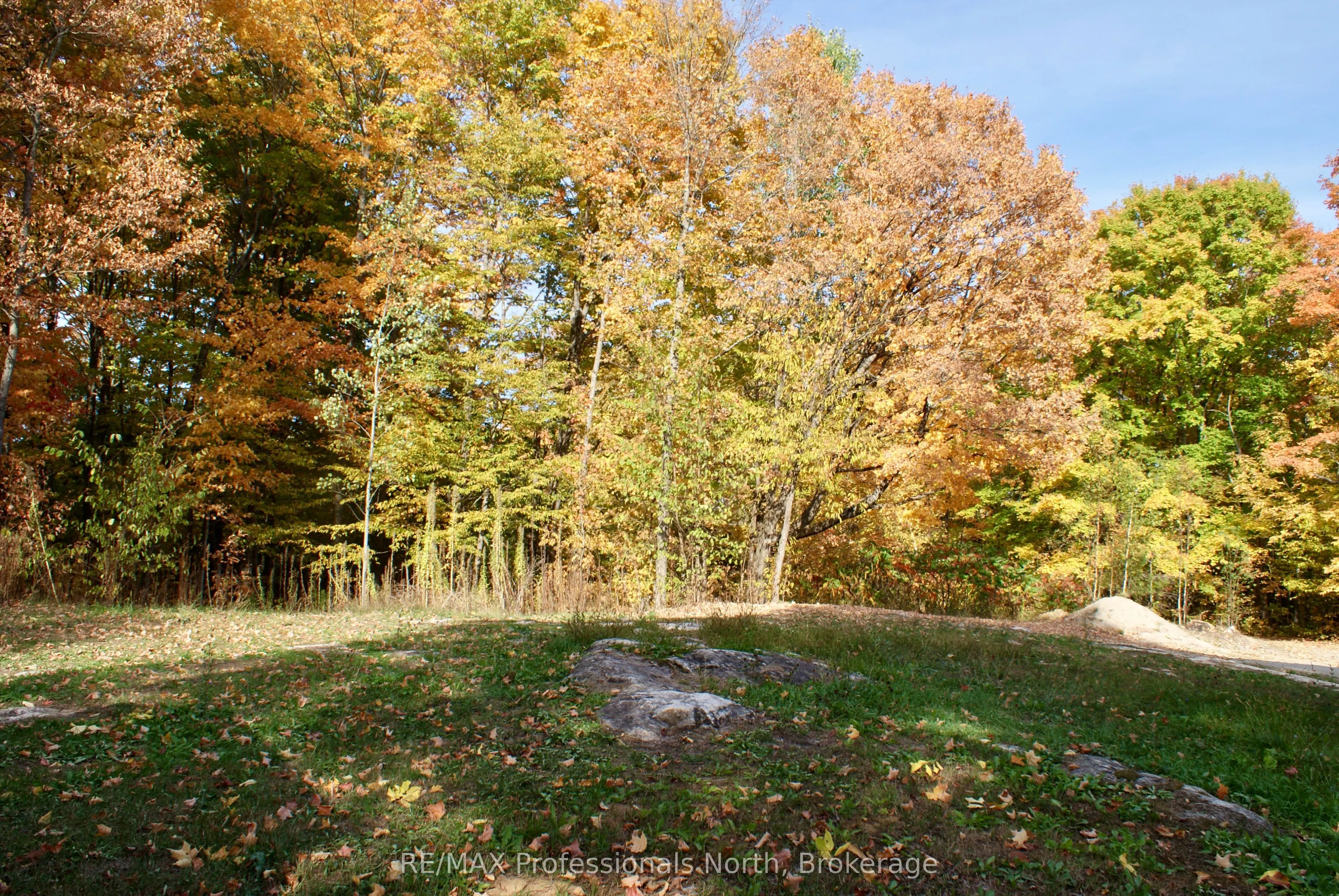 10531 County Road 503