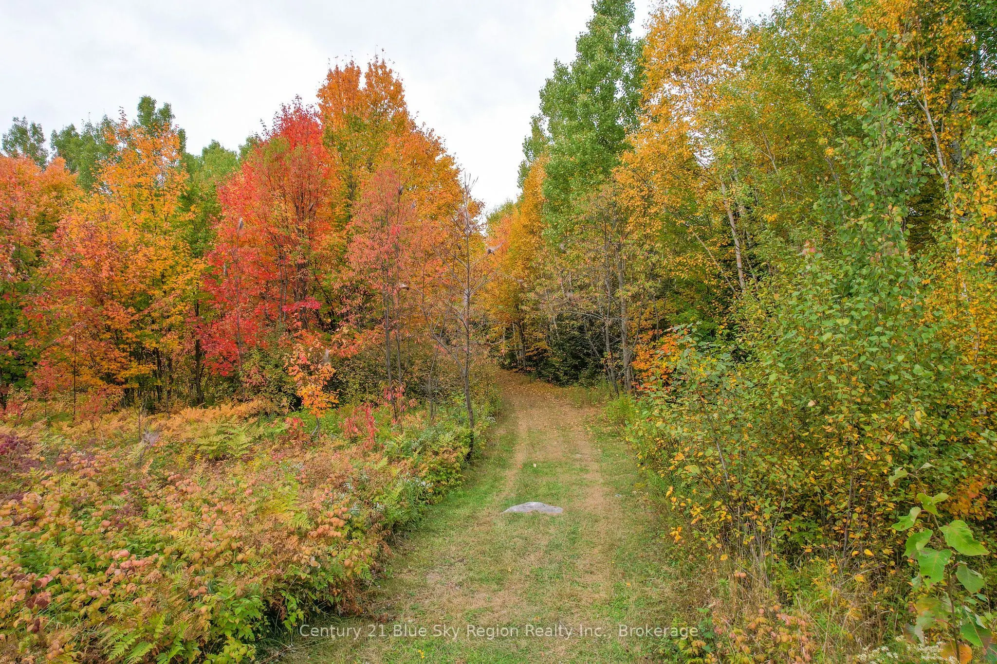 408 Lindquist Line