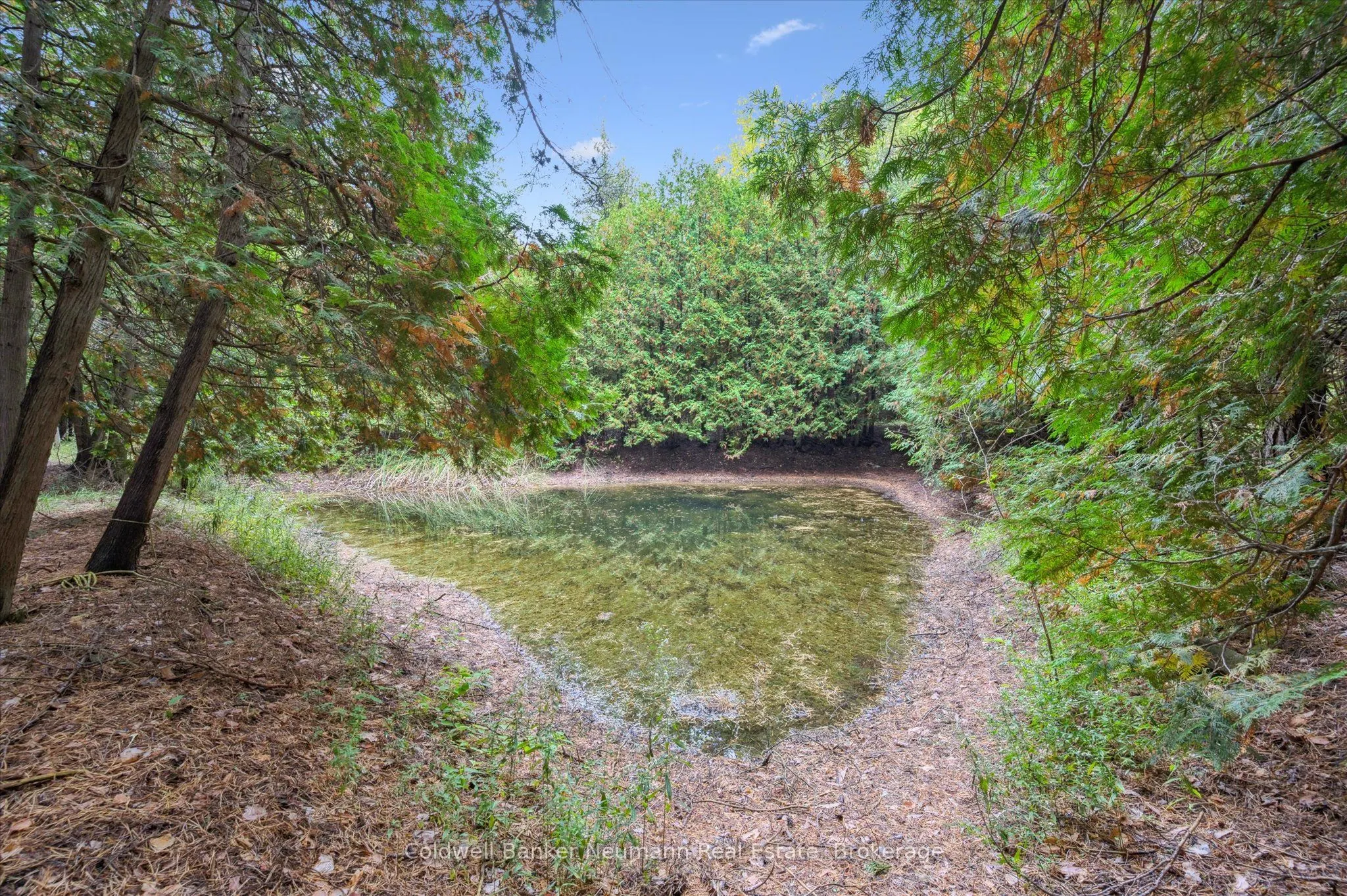 403277 Grey Road 4