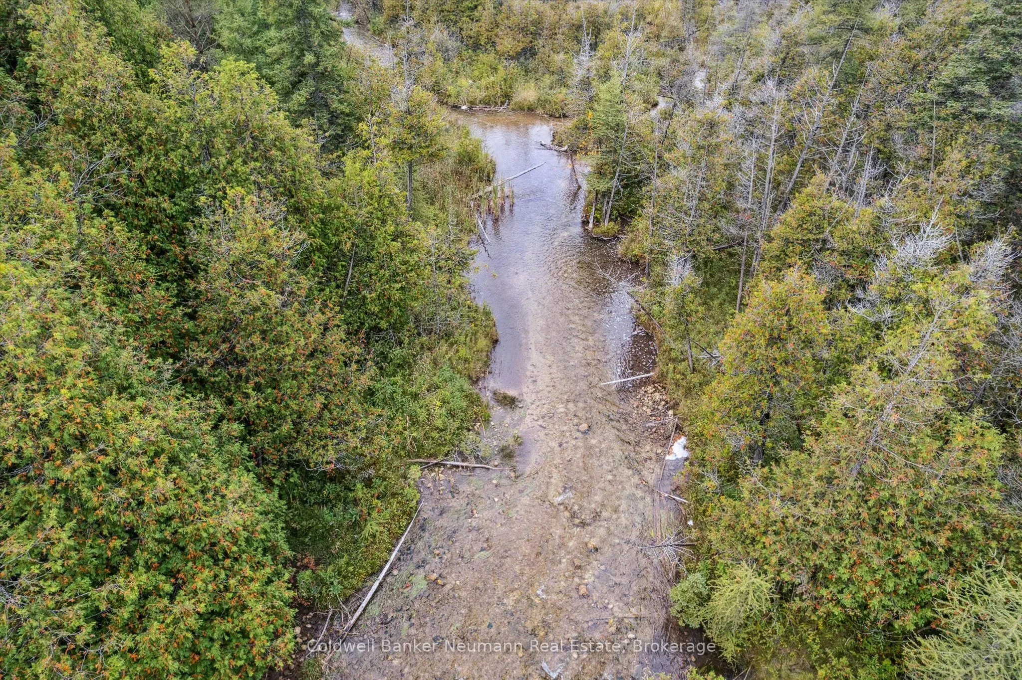 403277 Grey Road 4