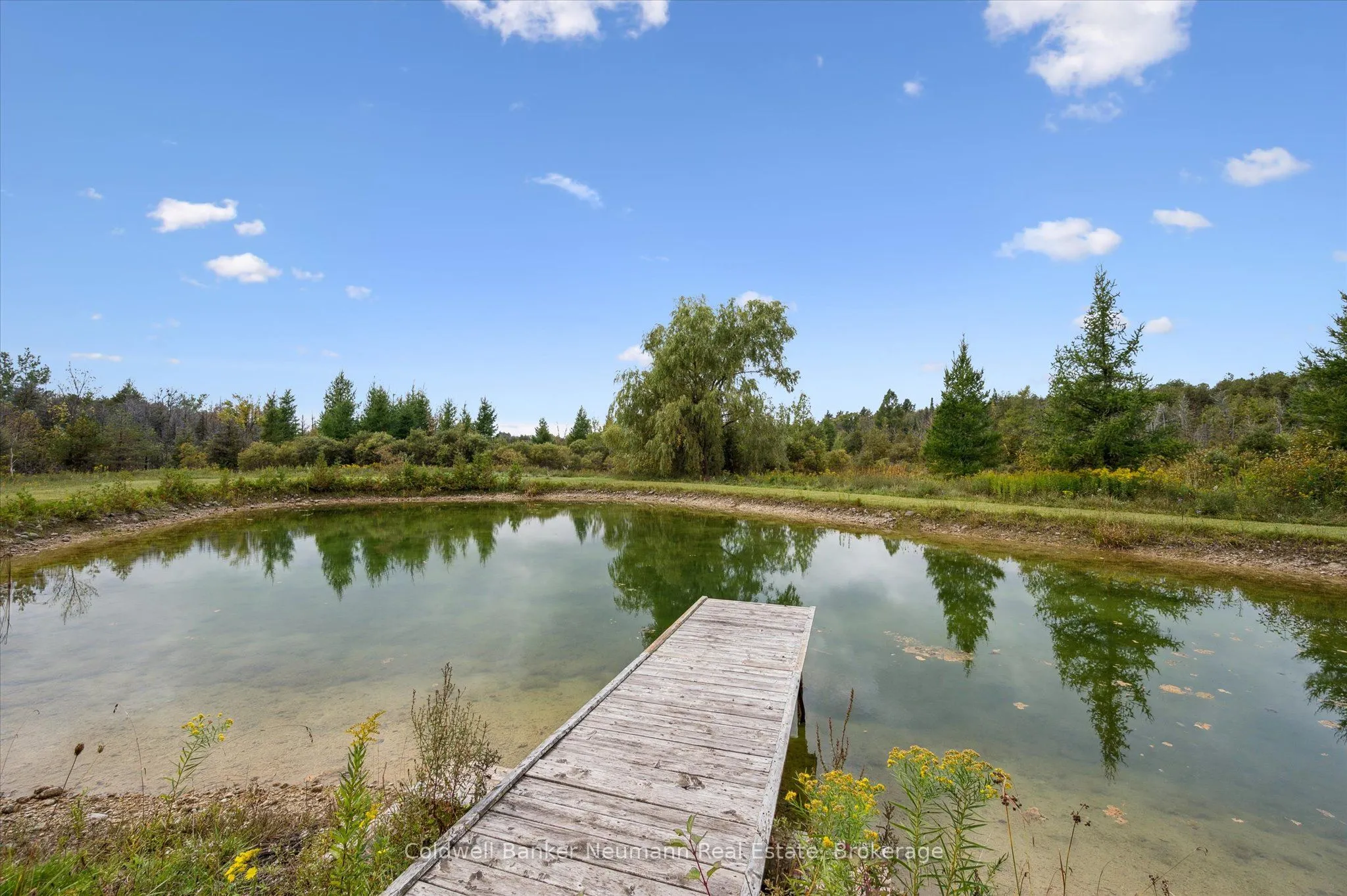 403277 Grey Road 4