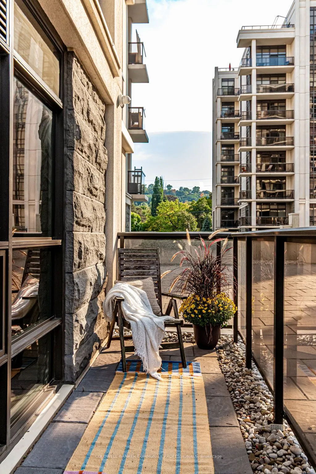 81 Robinson Street, #203