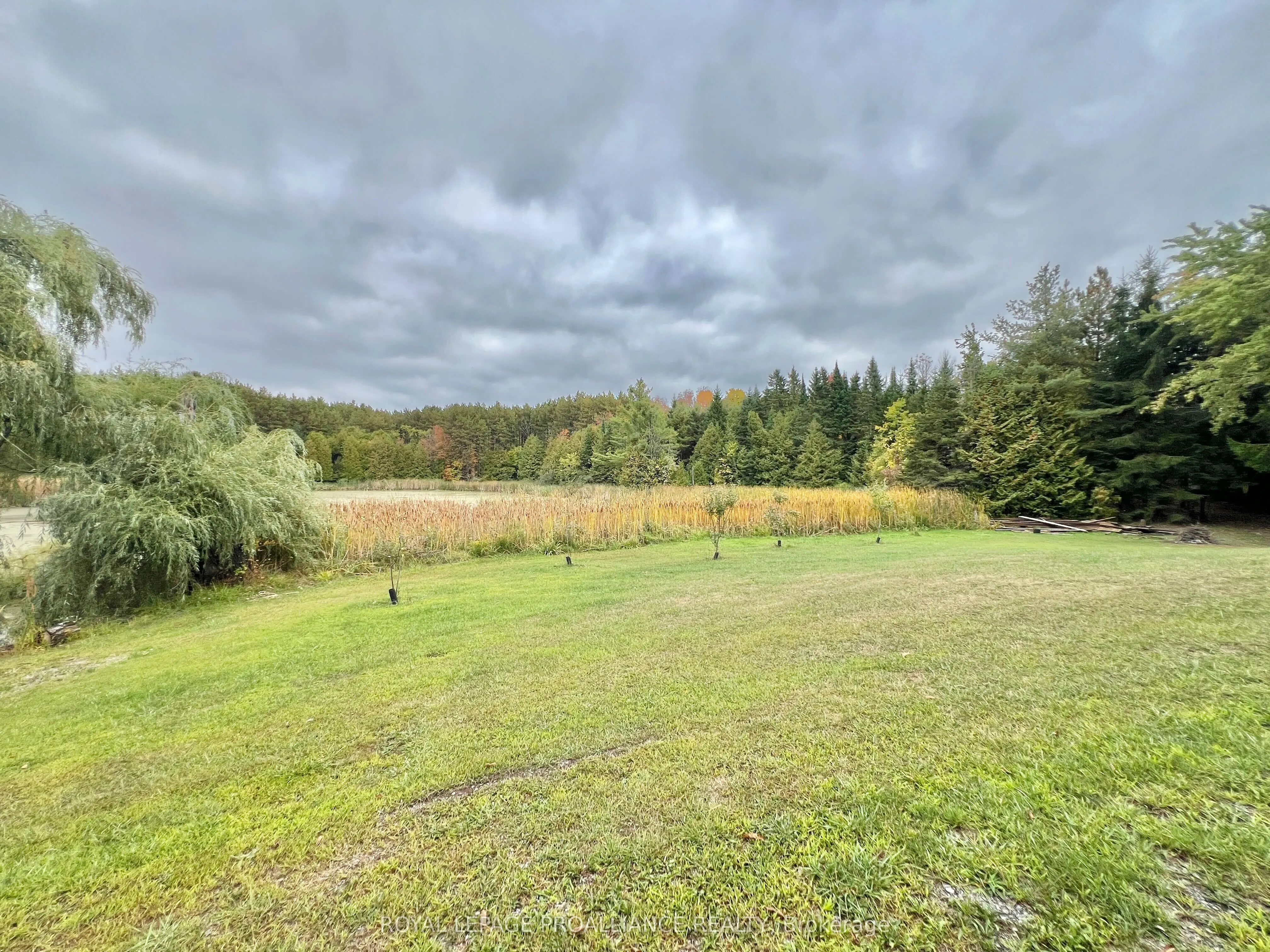 16124 Highway 62