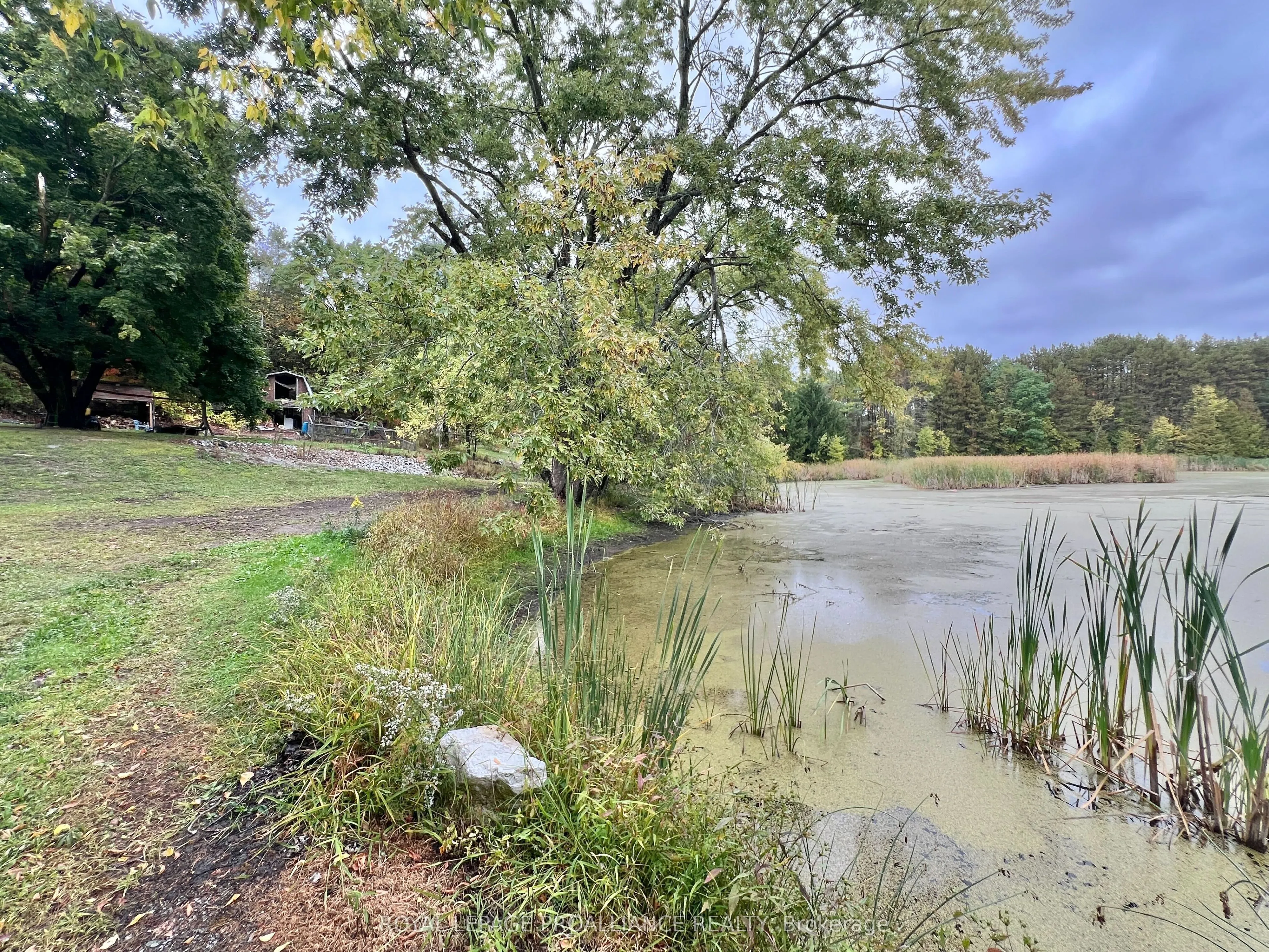 16124 Highway 62