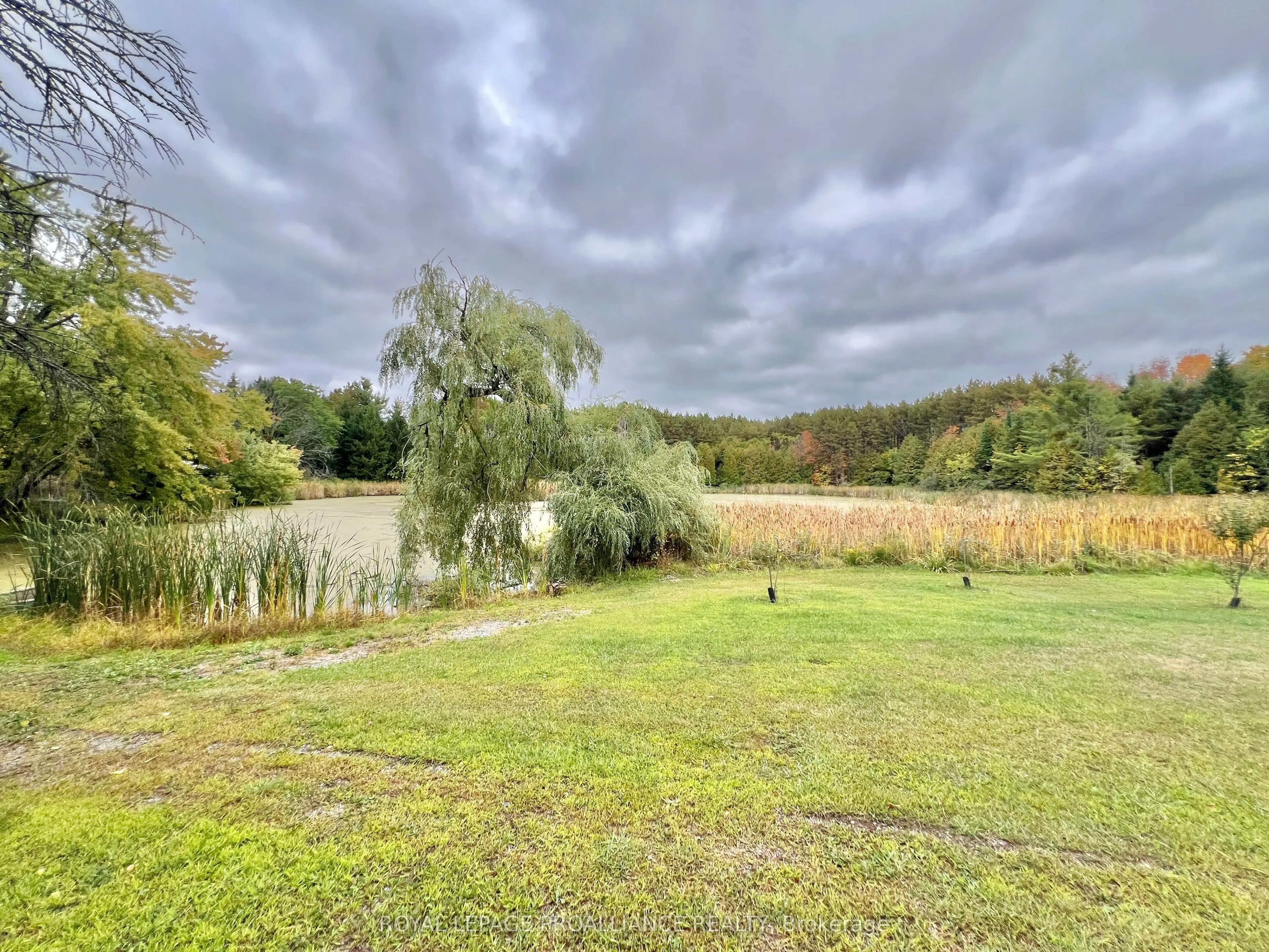 16124 Highway 62