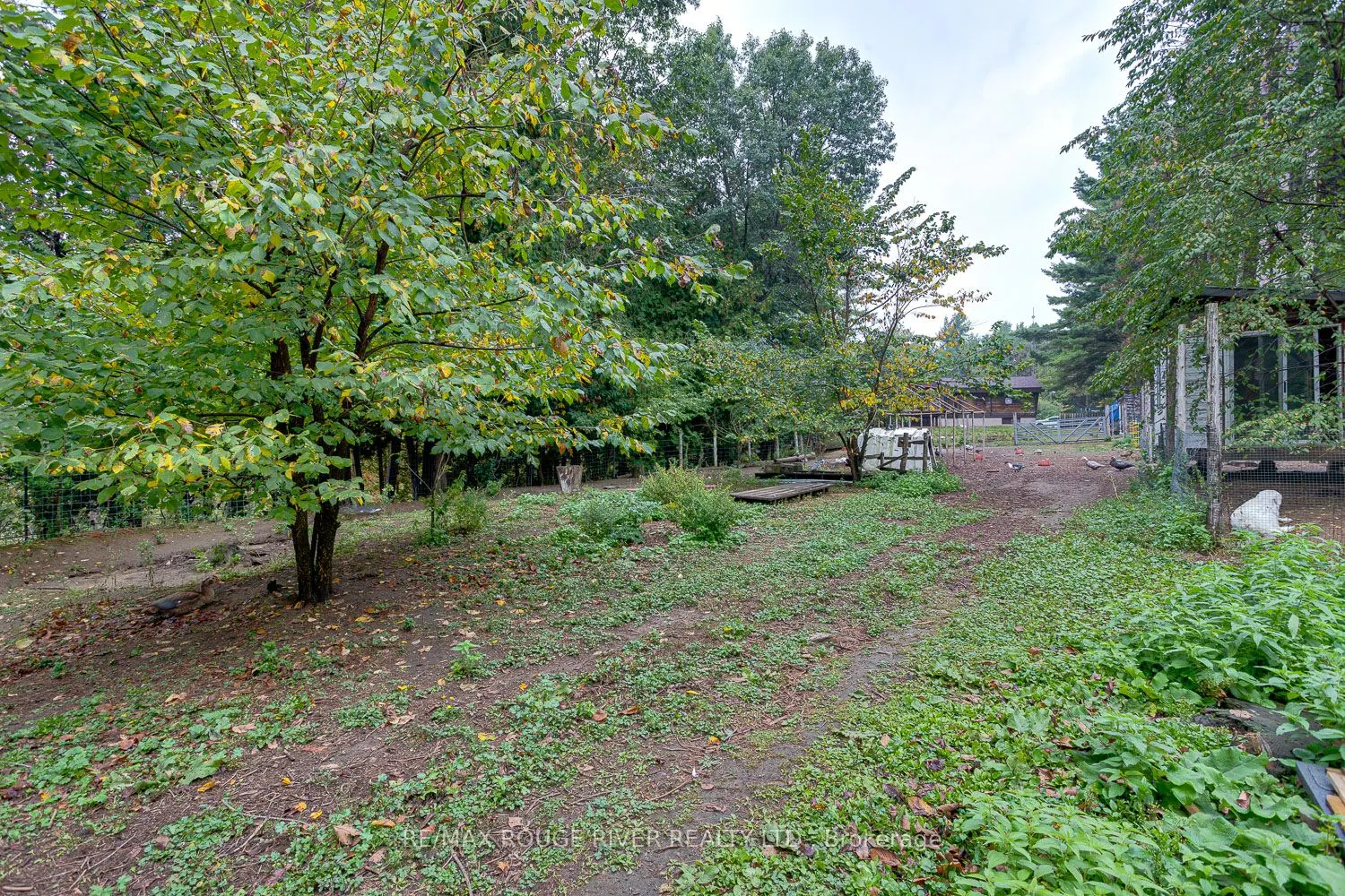 843 Eddystone Road