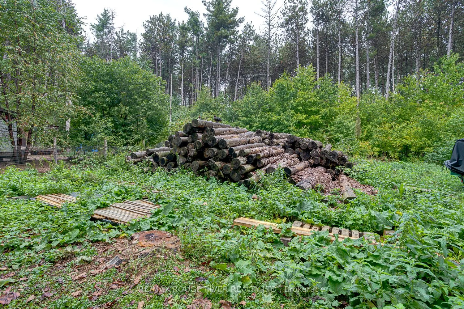 843 Eddystone Road