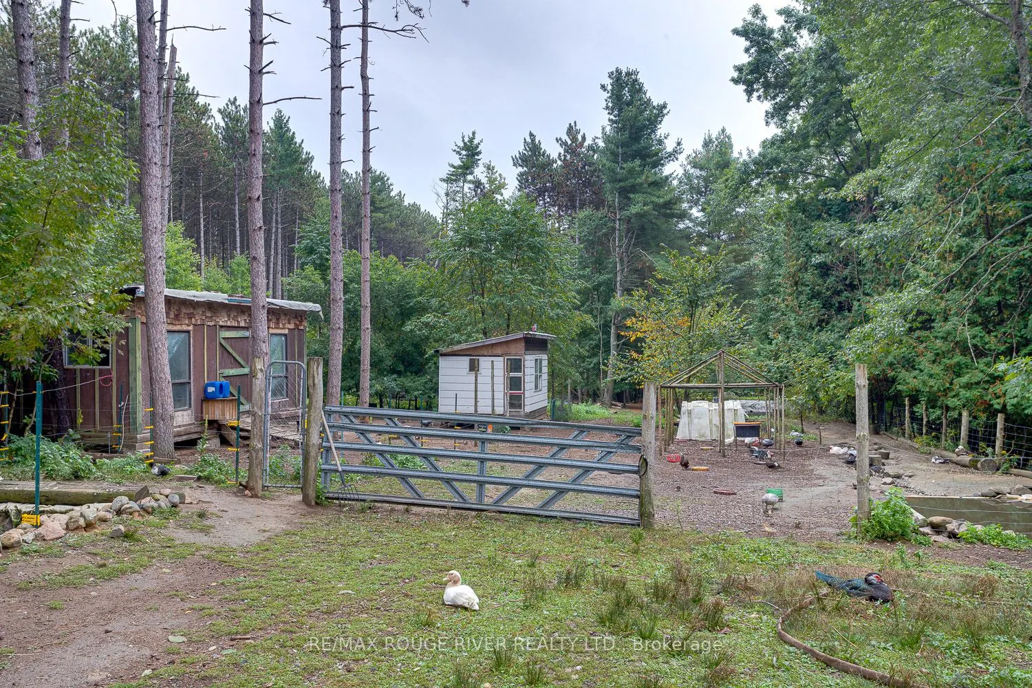 843 Eddystone Road