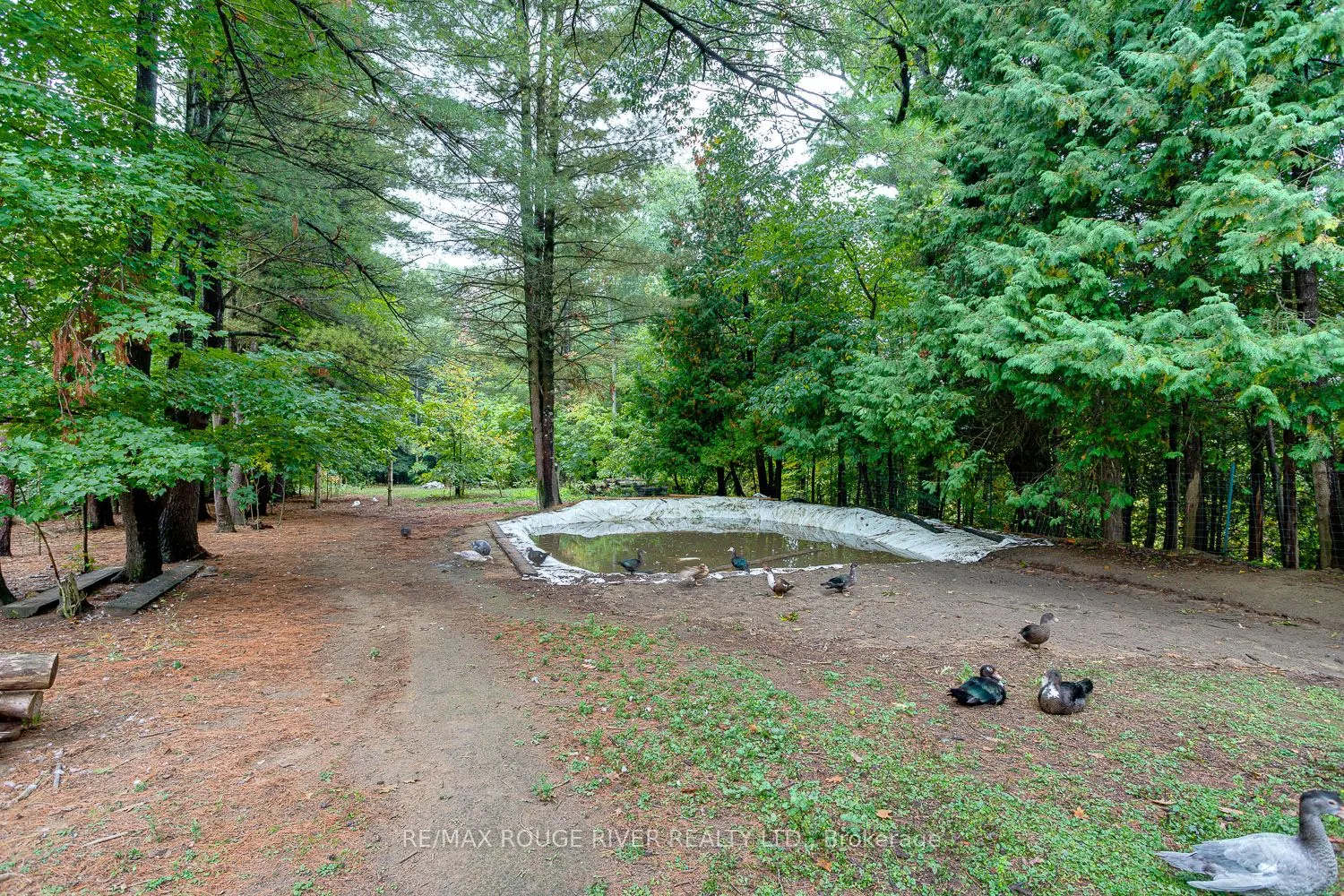 843 Eddystone Road