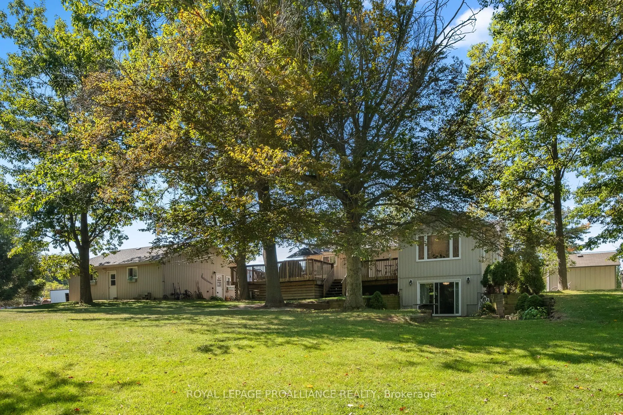 313 Peter's Road
