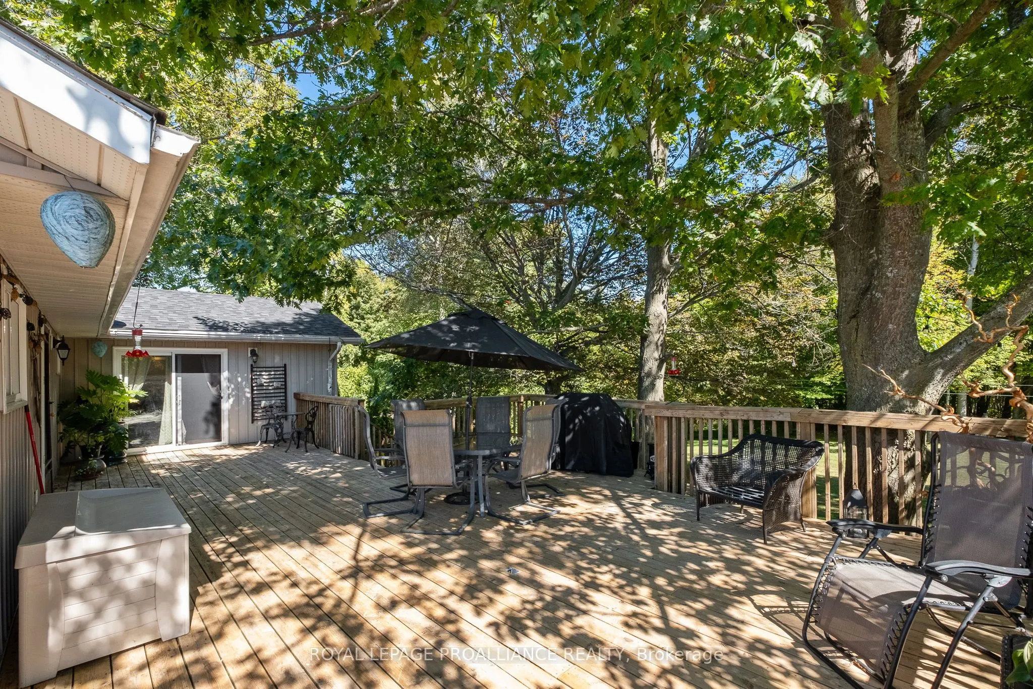 313 Peter's Road