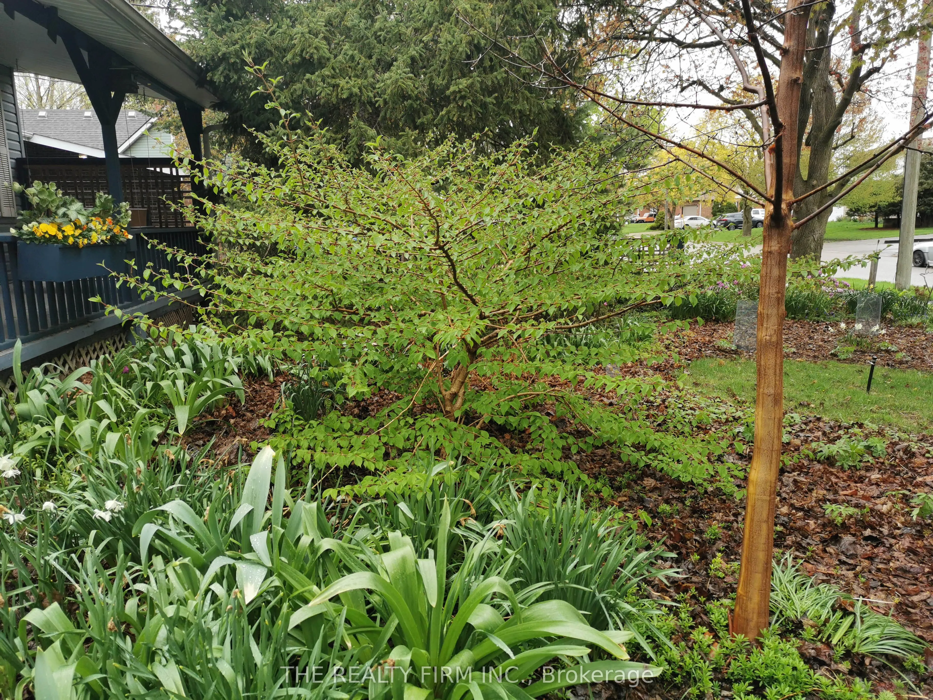 901 Willow Drive