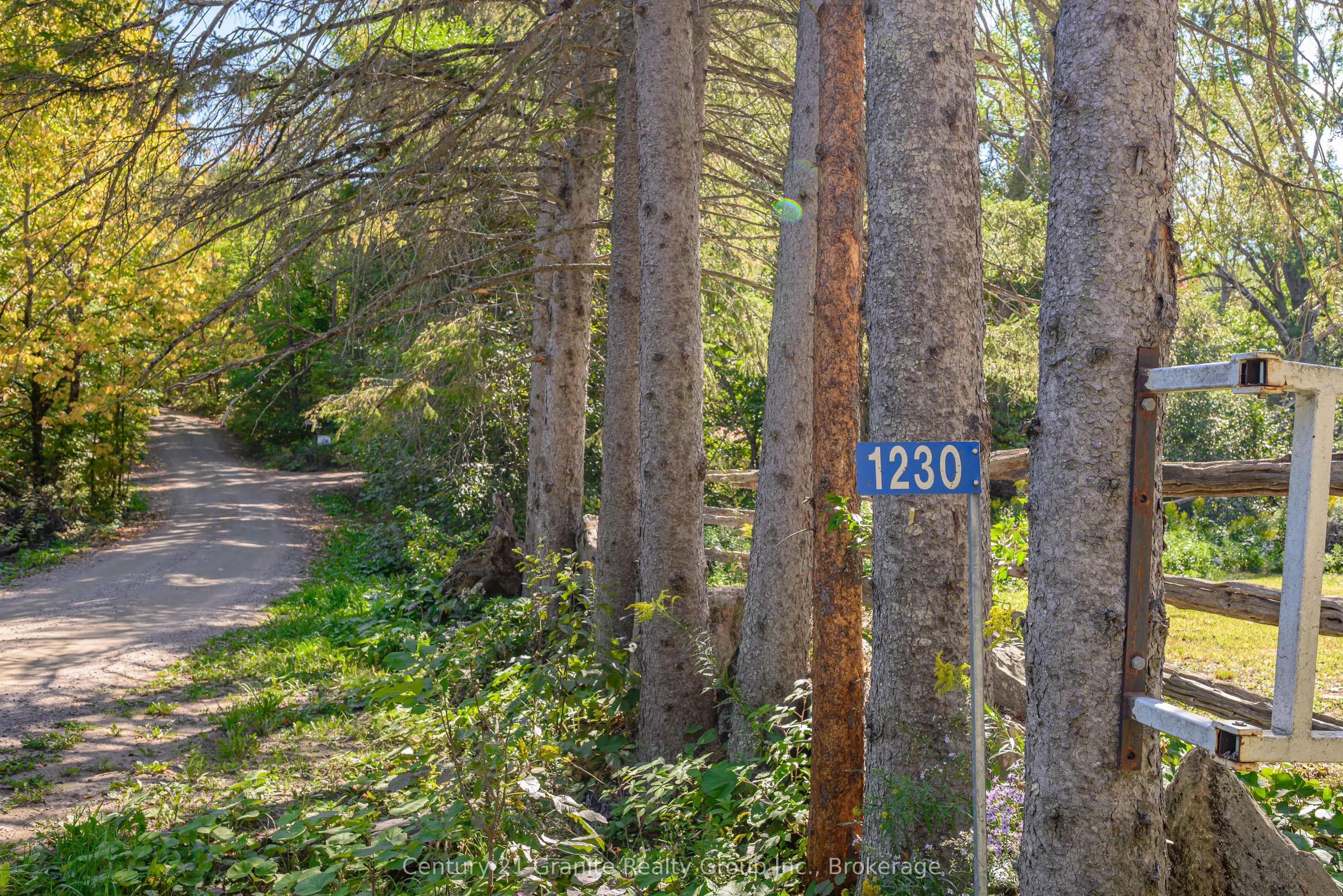 1230 FORSTERS Road