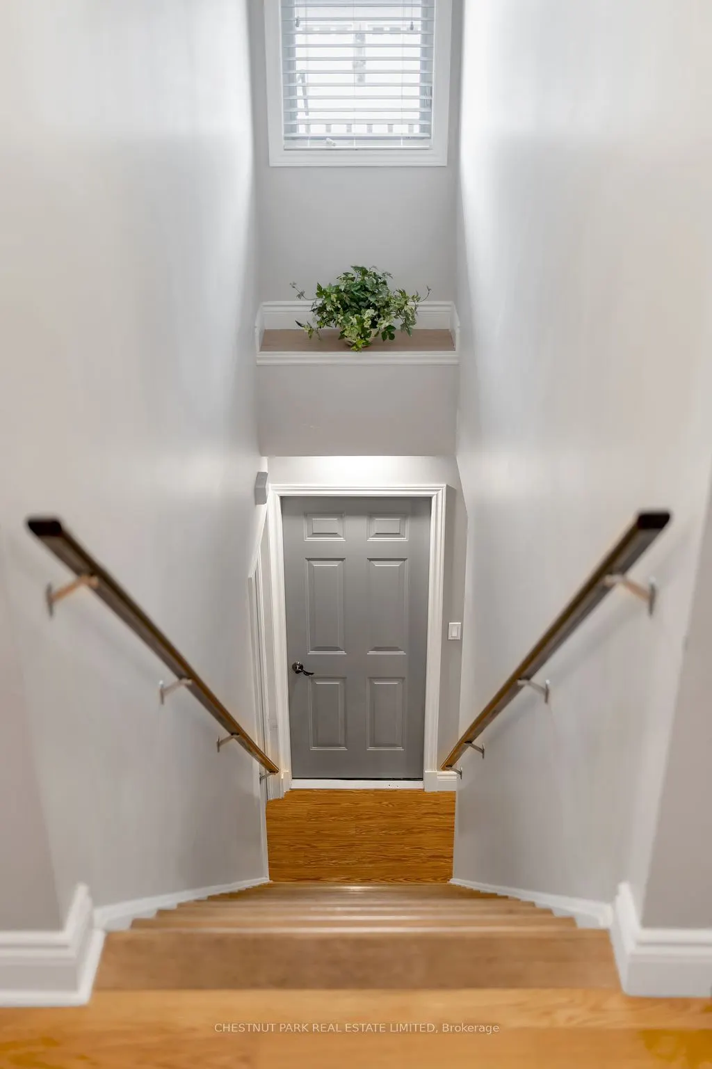 27 Ackerman Street