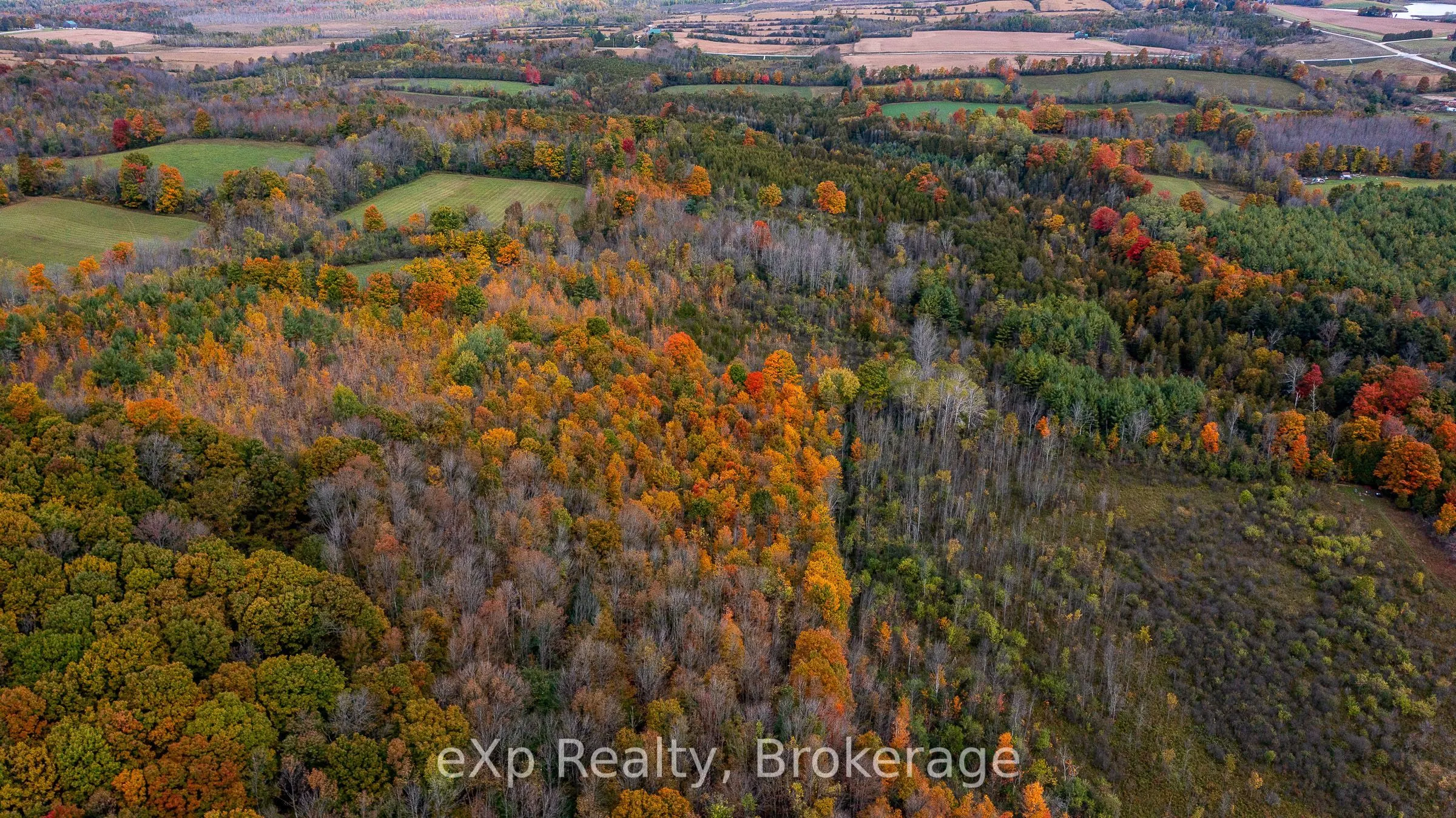 084482 6 Side Road