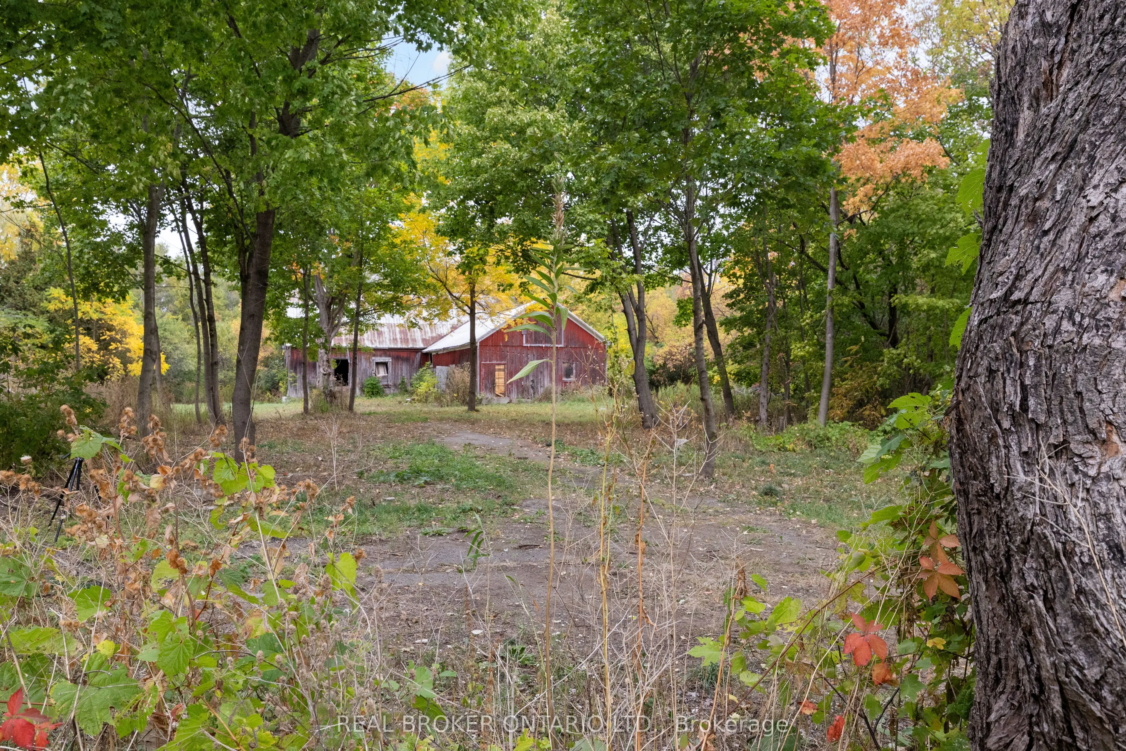 2099 County  20 Road