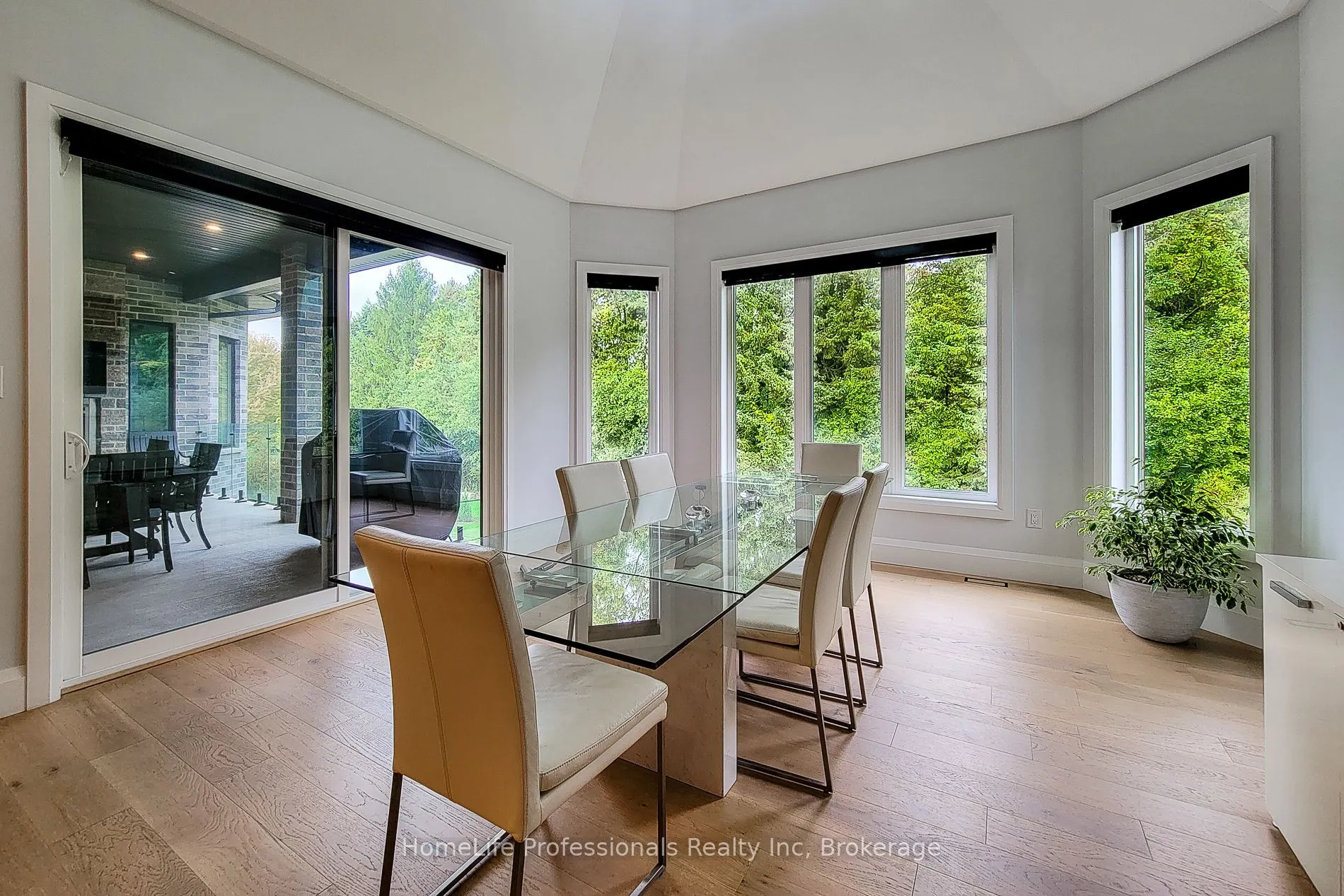 11 Black Willow Court