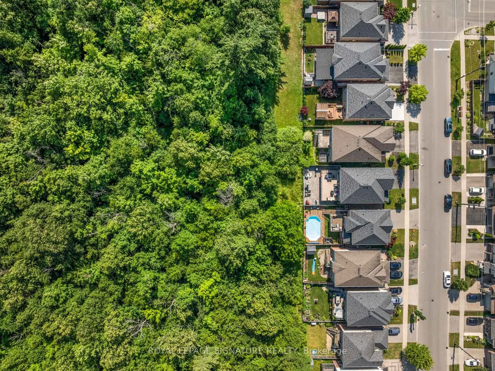 704 Robert Ferrie Drive