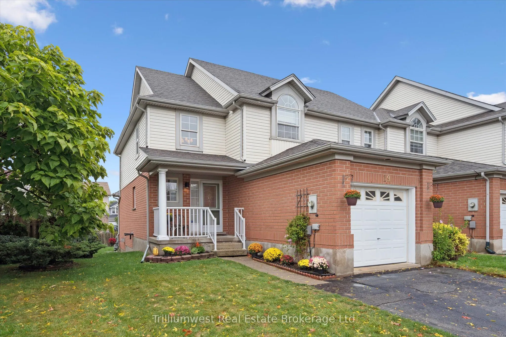 19 Ireland Place