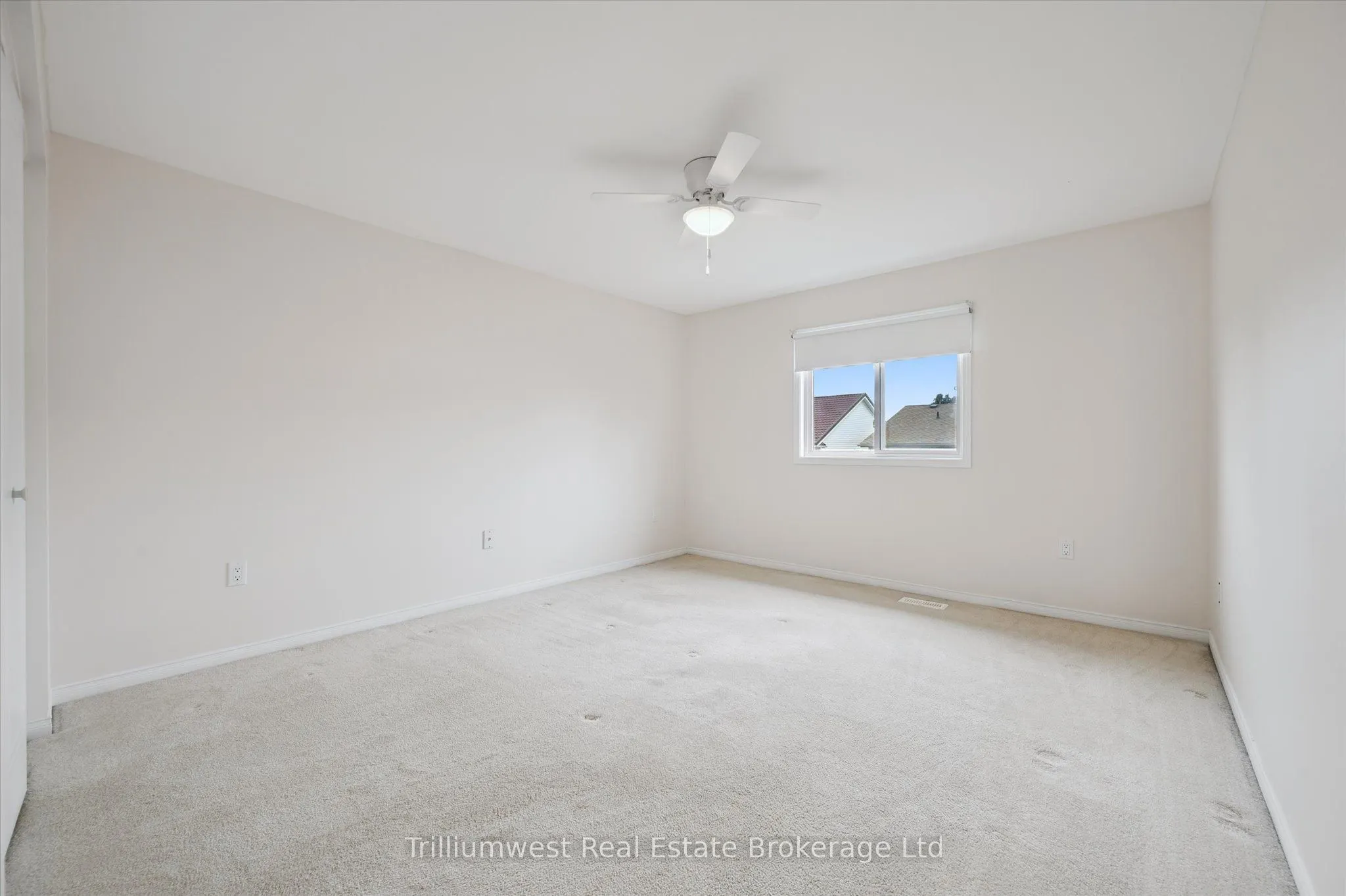 19 Ireland Place