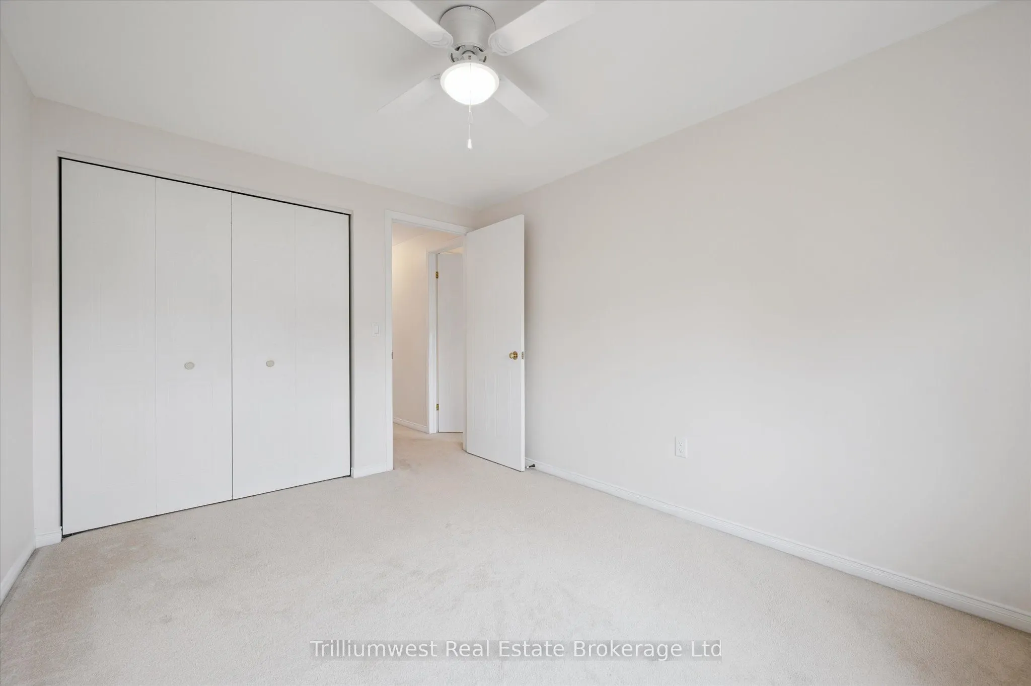 19 Ireland Place