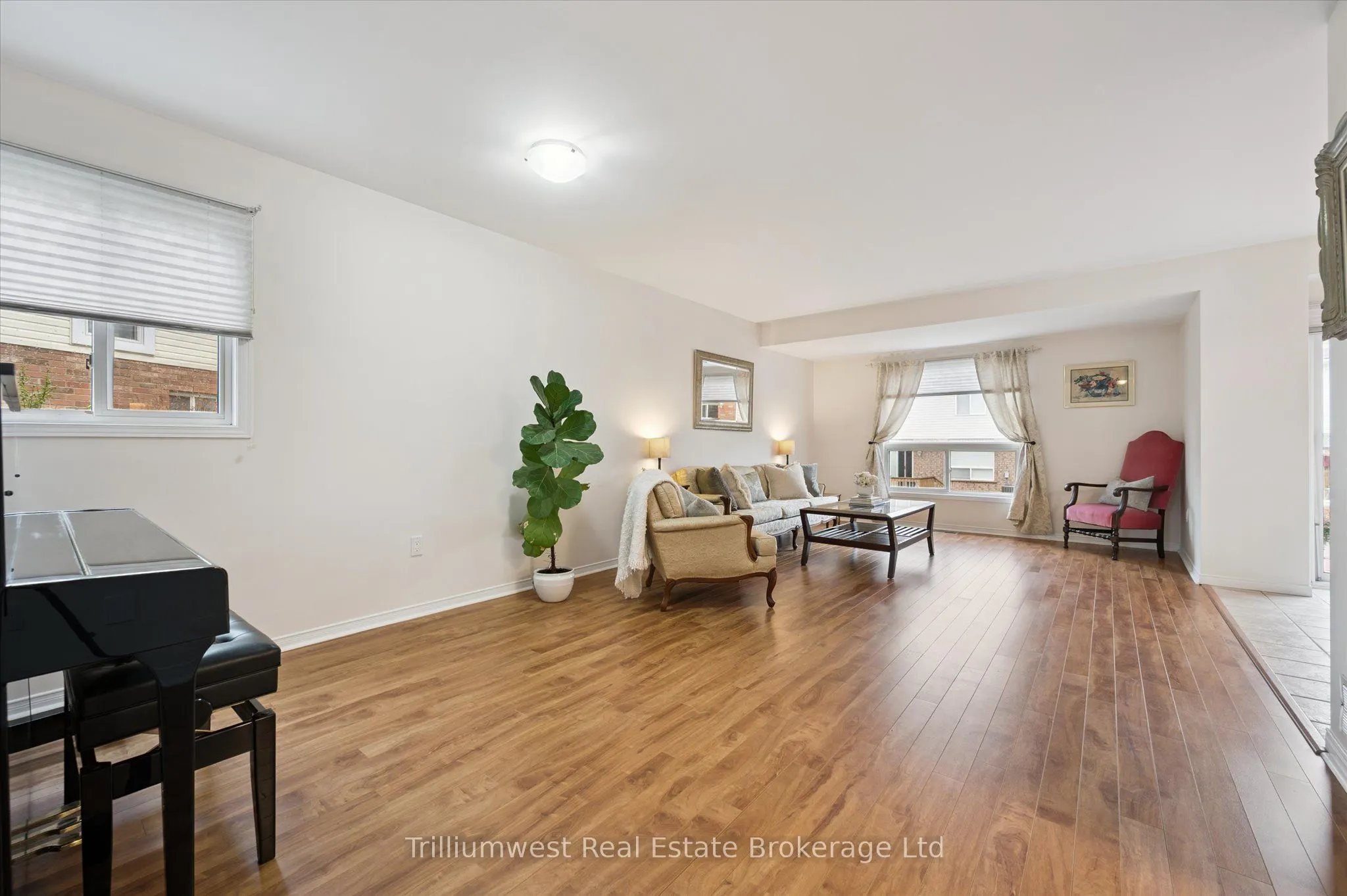 19 Ireland Place