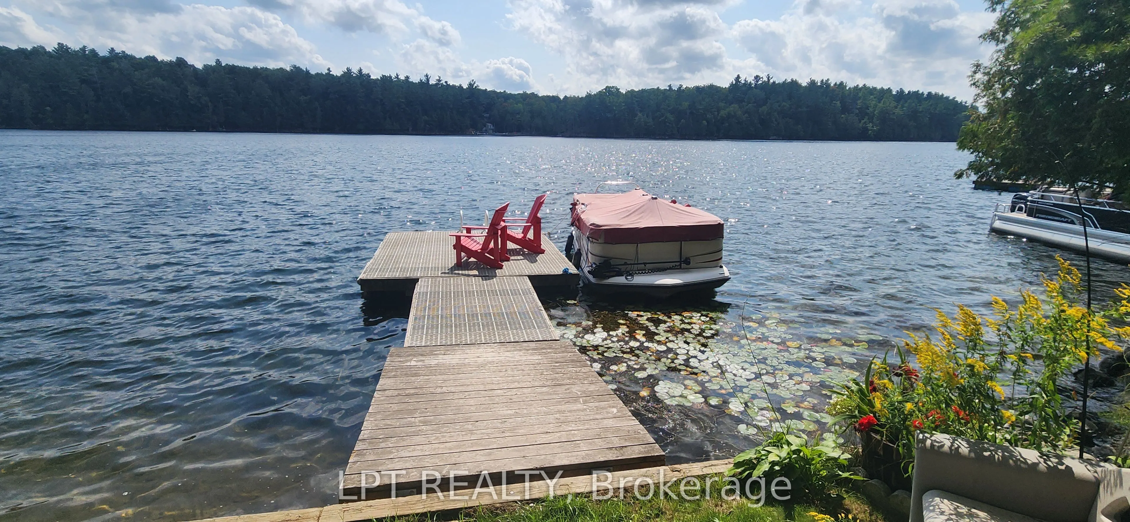 385 Porcupine Way