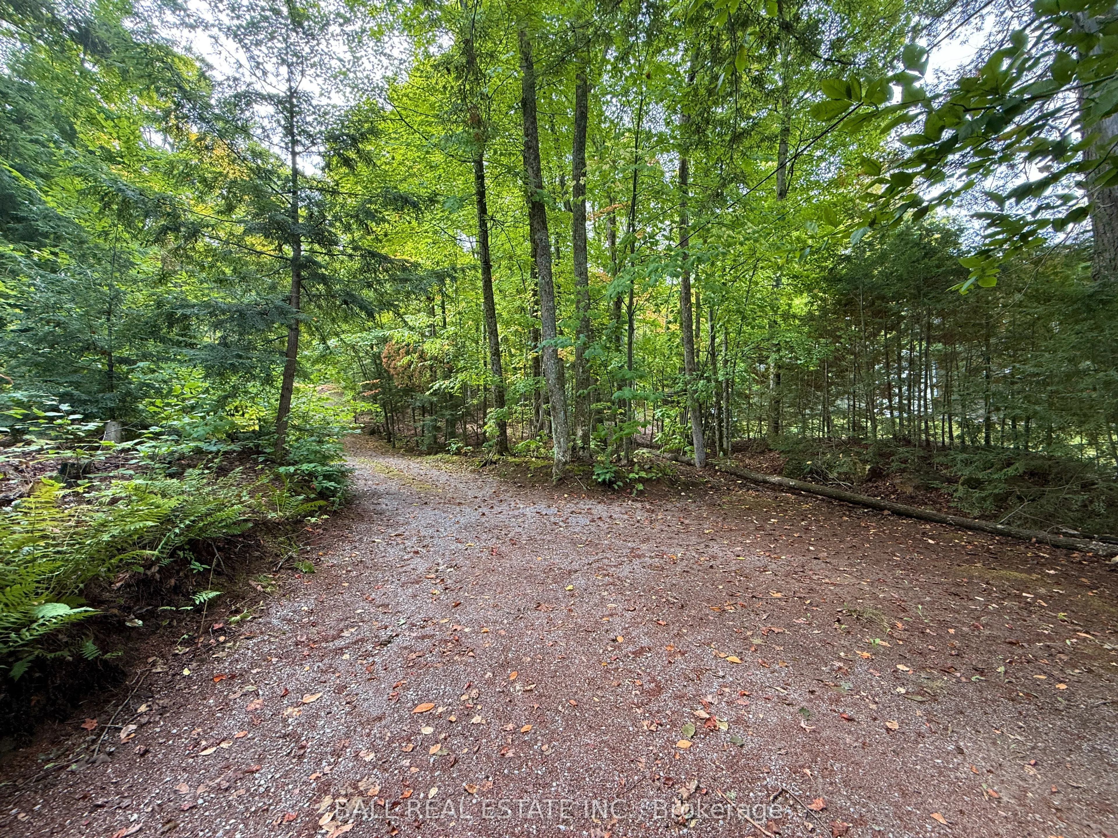 551 Renwick Road