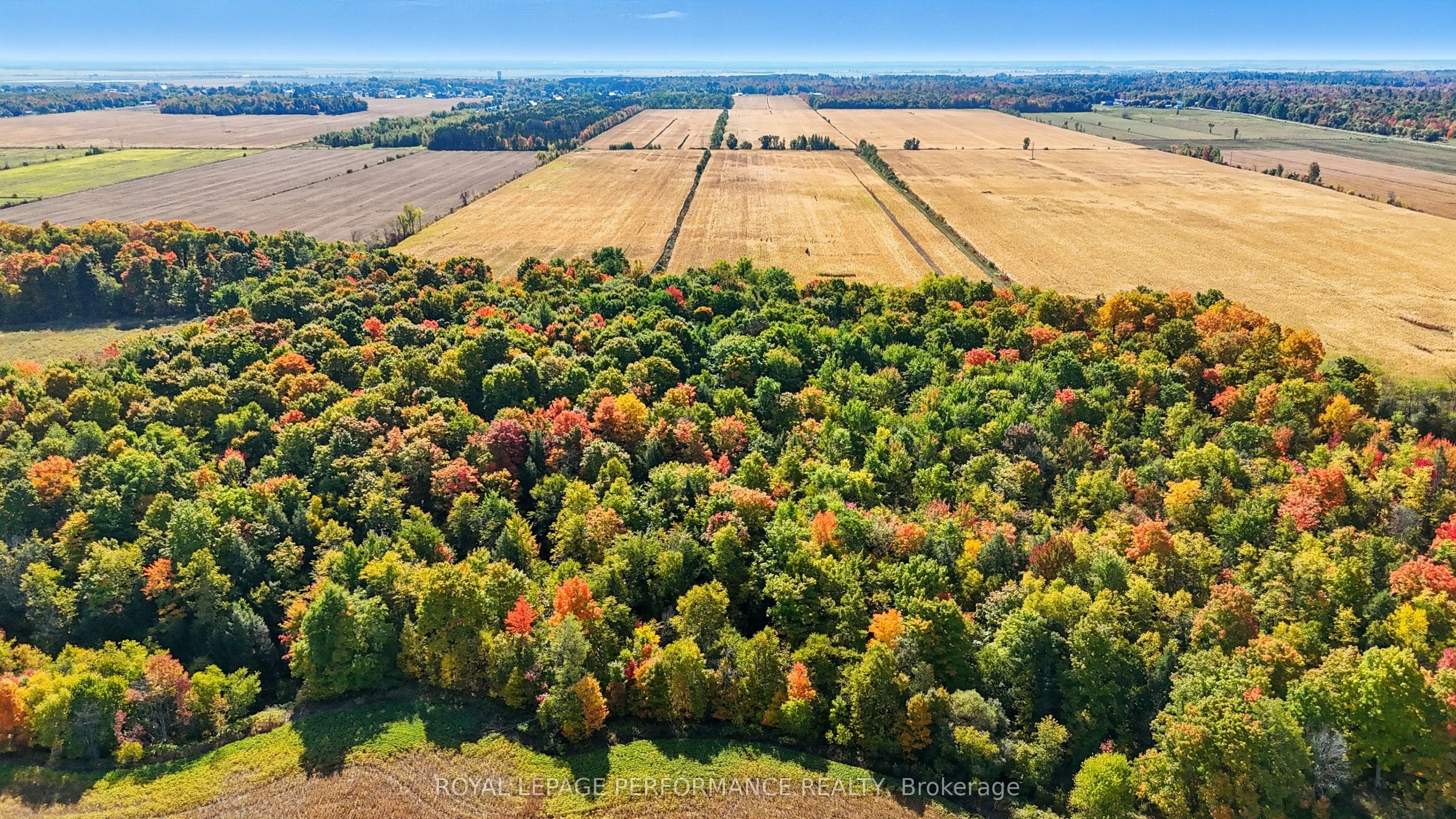 2830 CONCESSION 4 Road