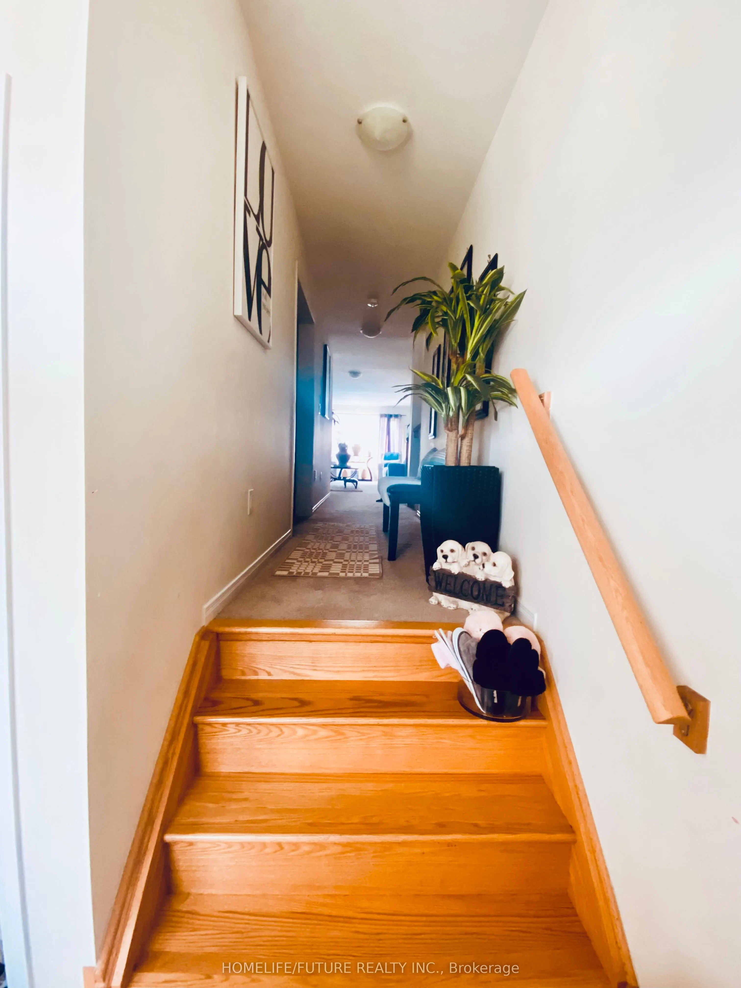 35 Doreen Drive