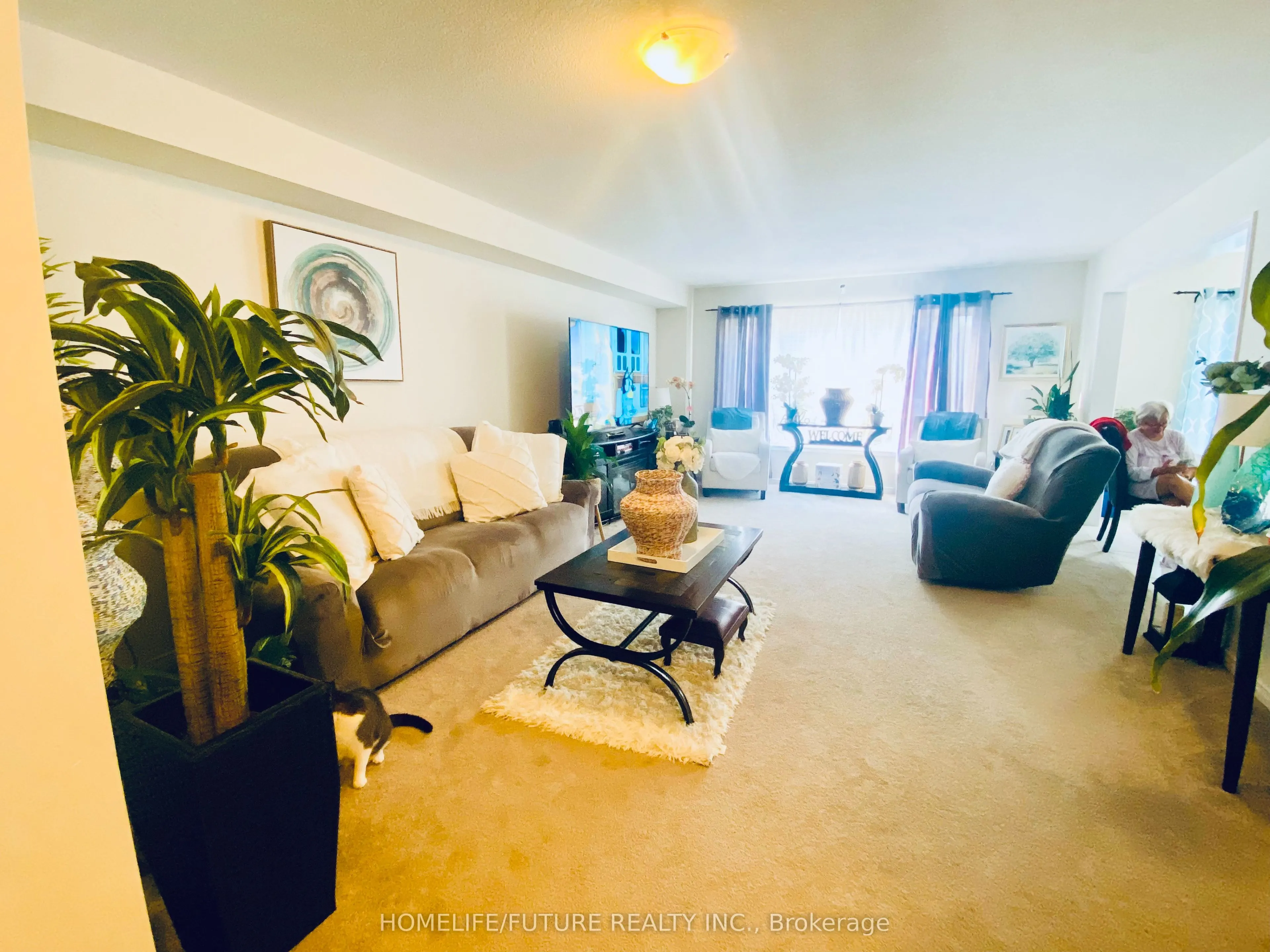 35 Doreen Drive