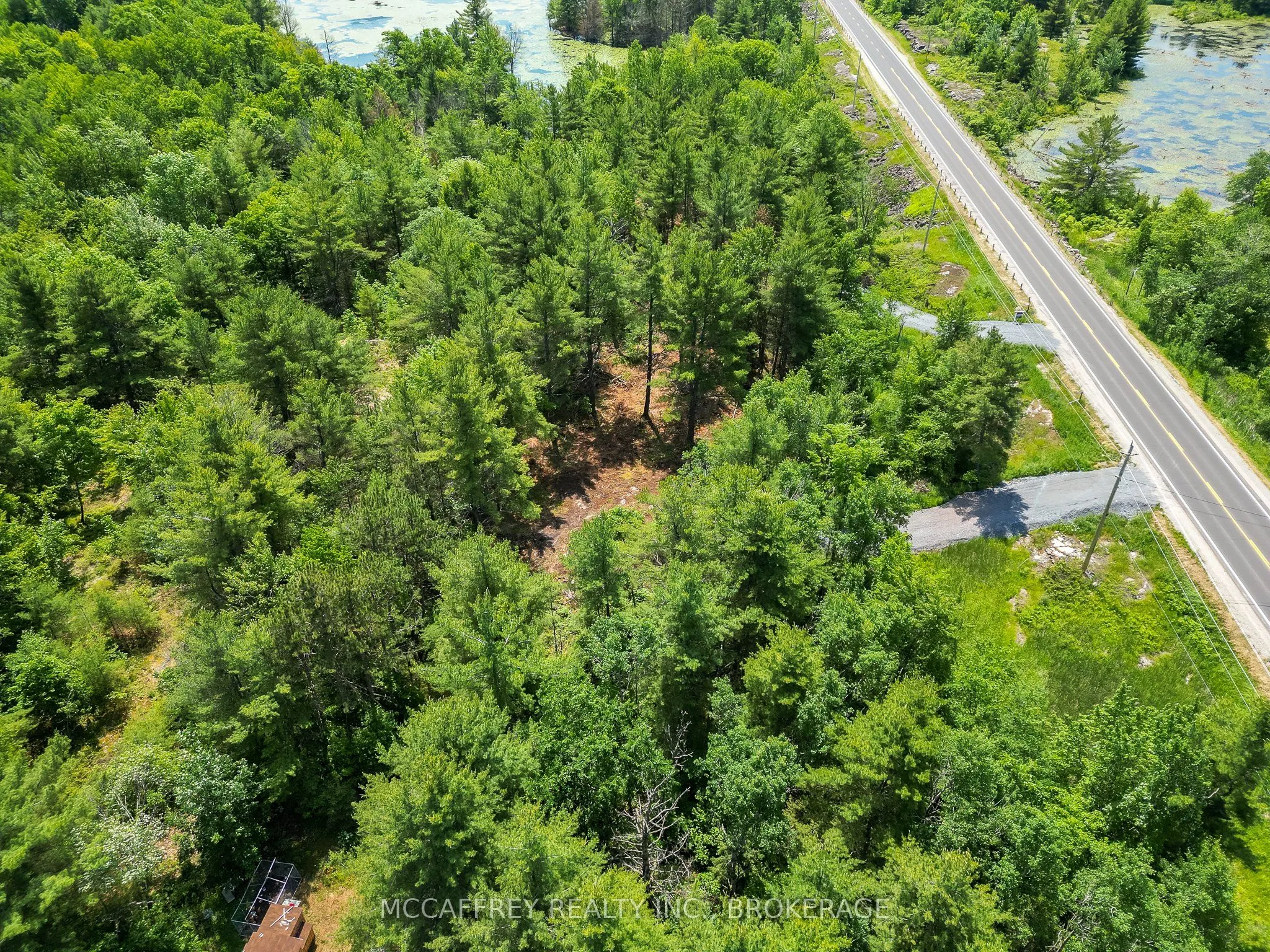 9804 HIGHWAY 38