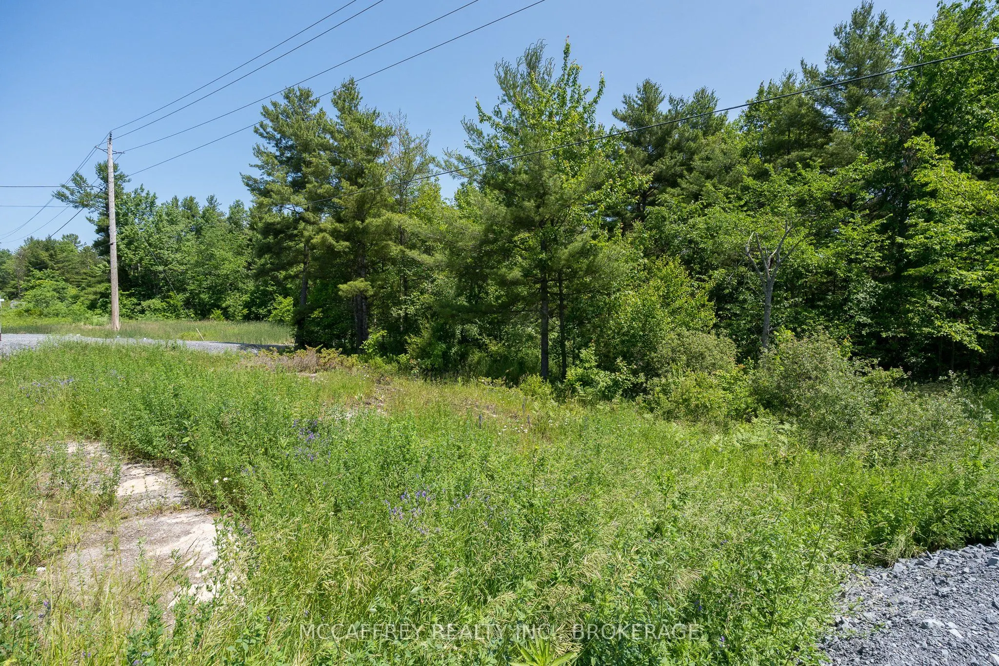 9804 HIGHWAY 38