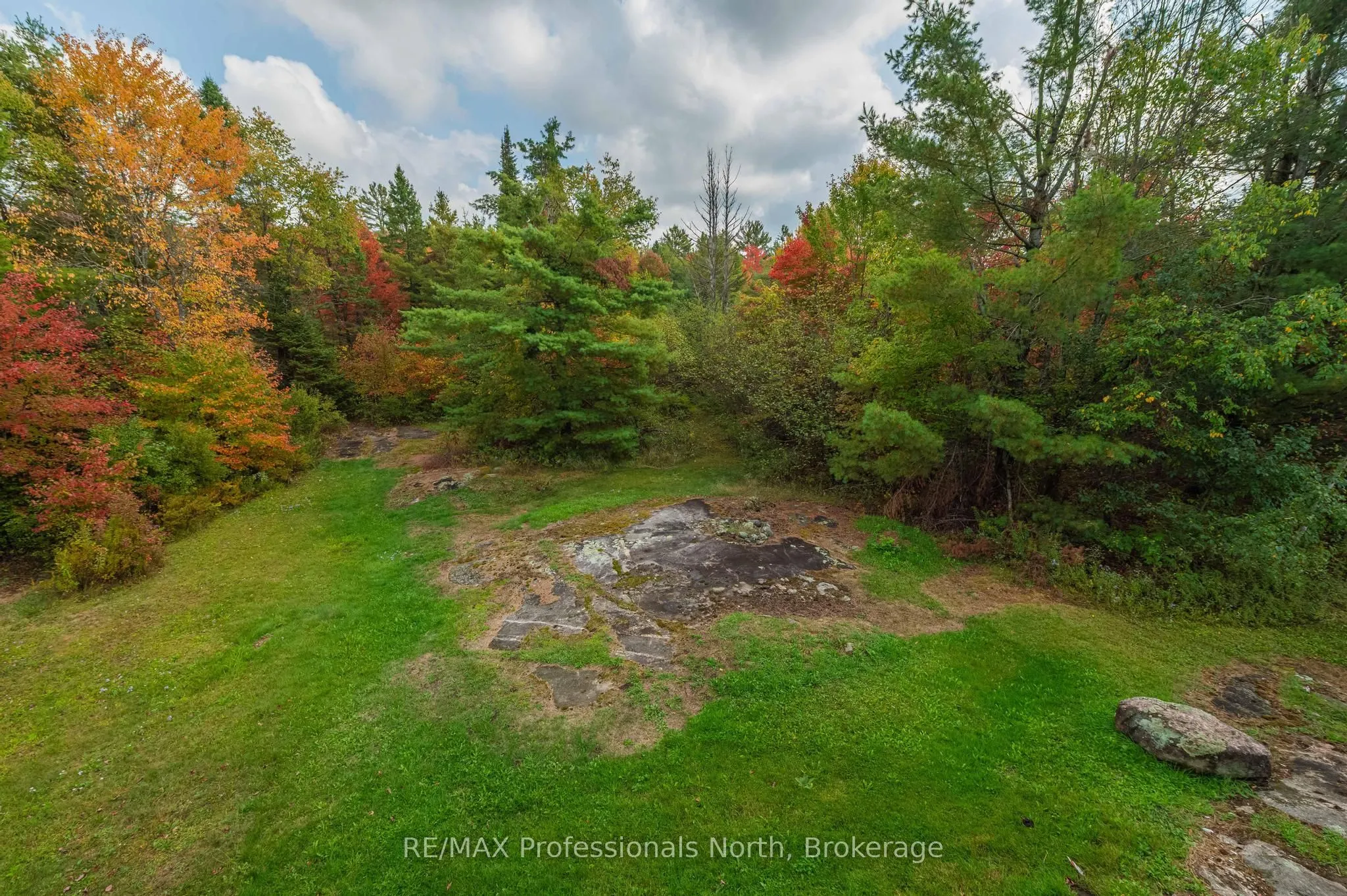 1110 Sedgwick Road