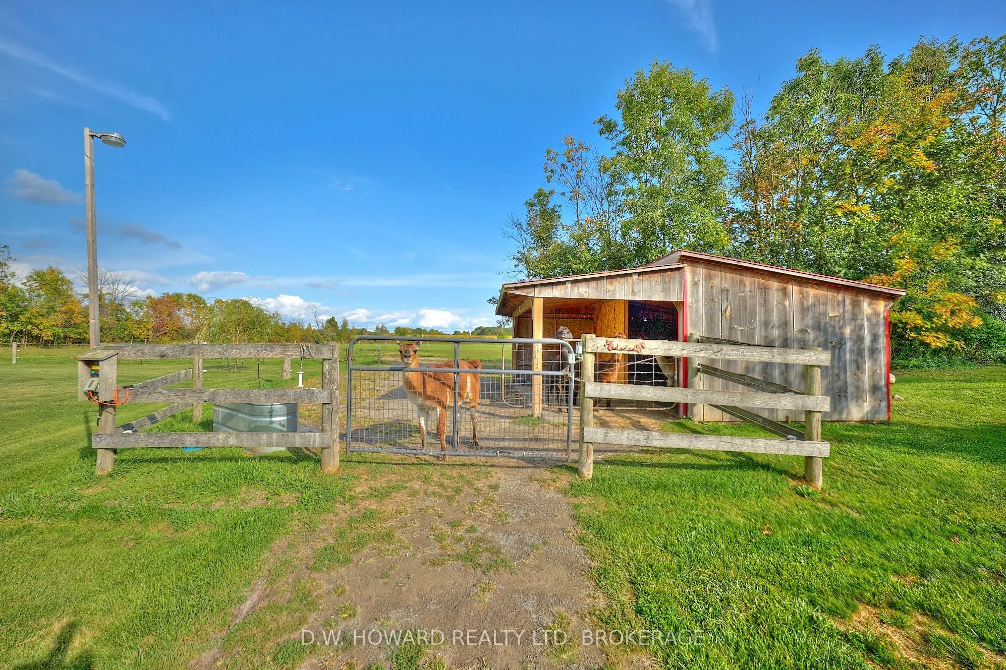 2264 Shisler Road