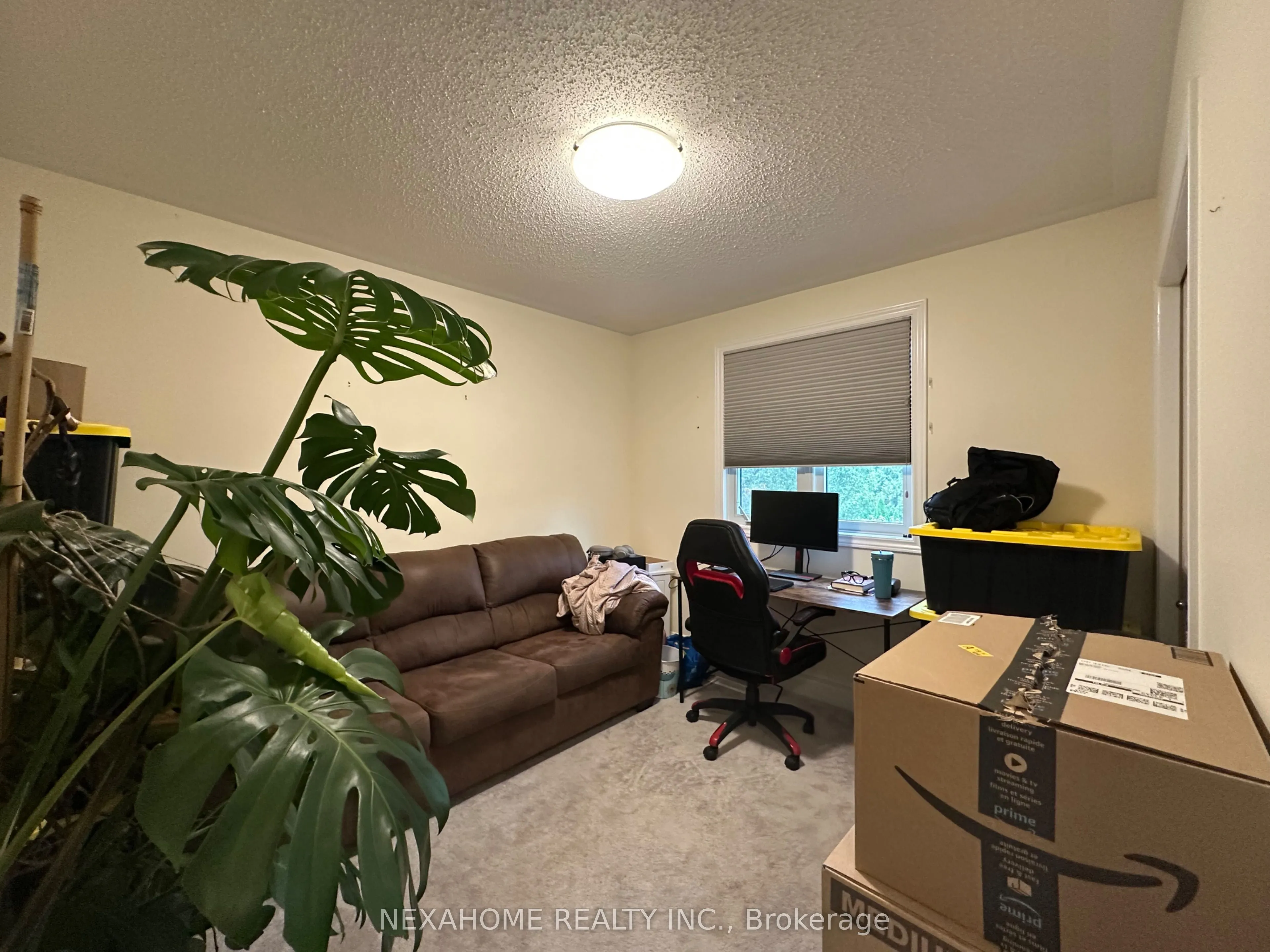 579 FIREFLY Drive