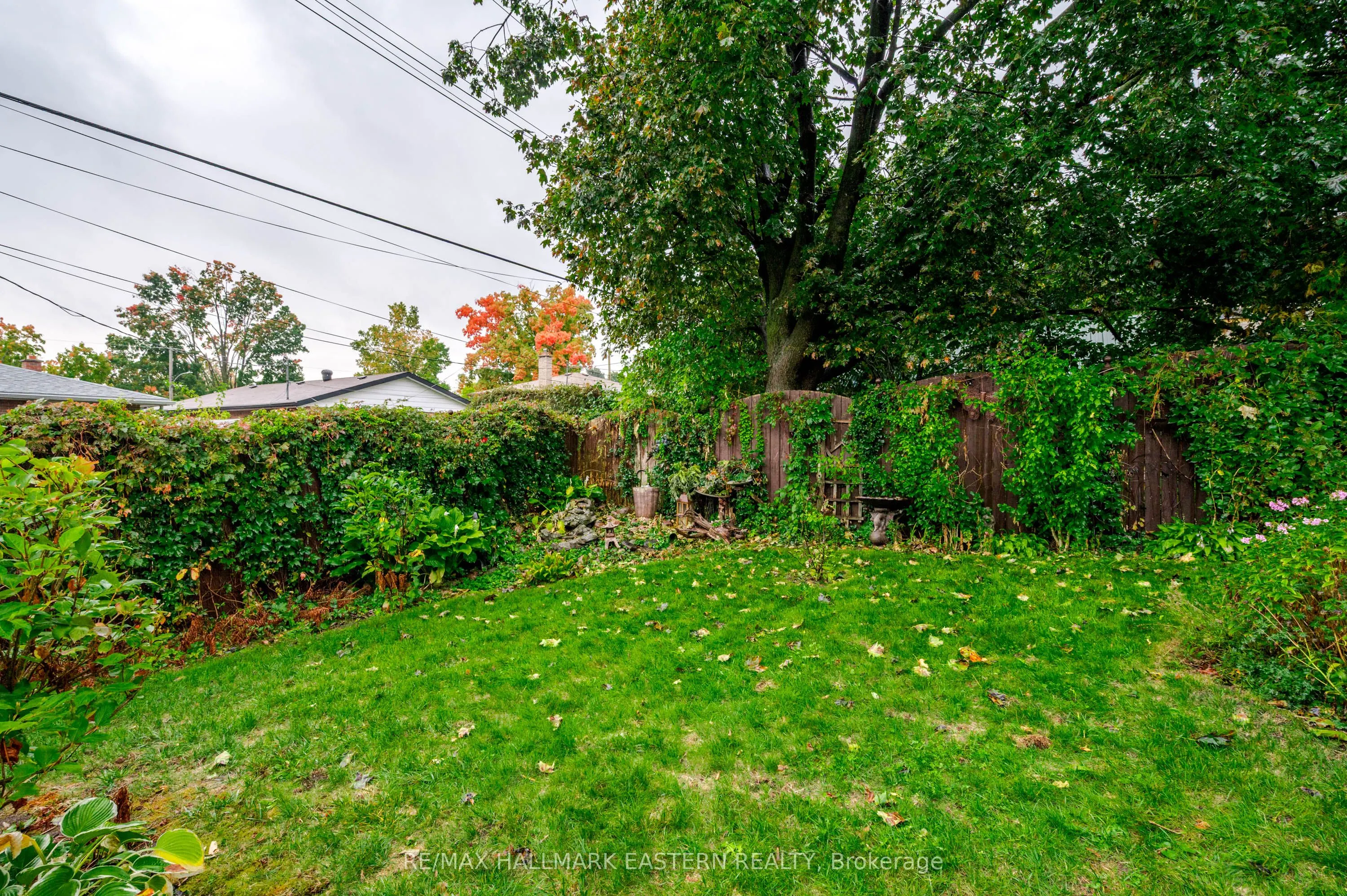 385 Bellevue Street