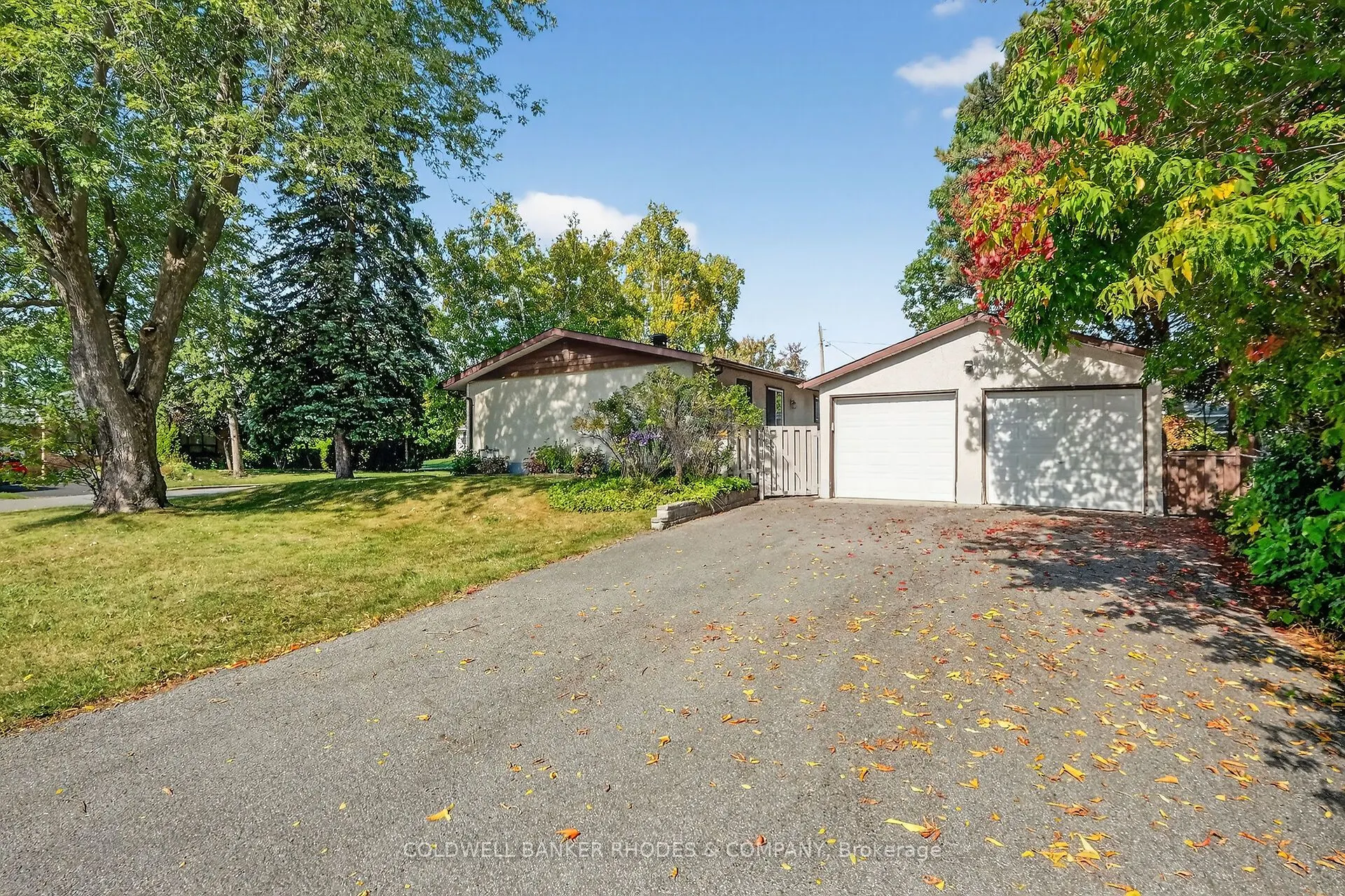 11 Willeth Avenue