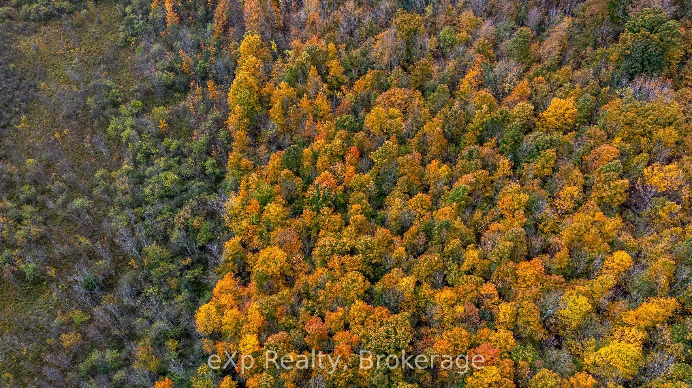 084482 6 Side Road