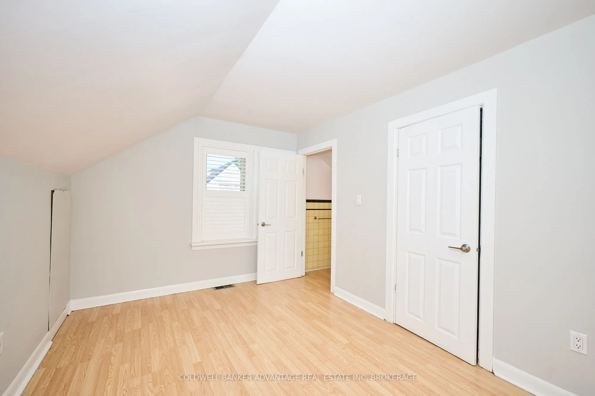 49 Carlton Avenue