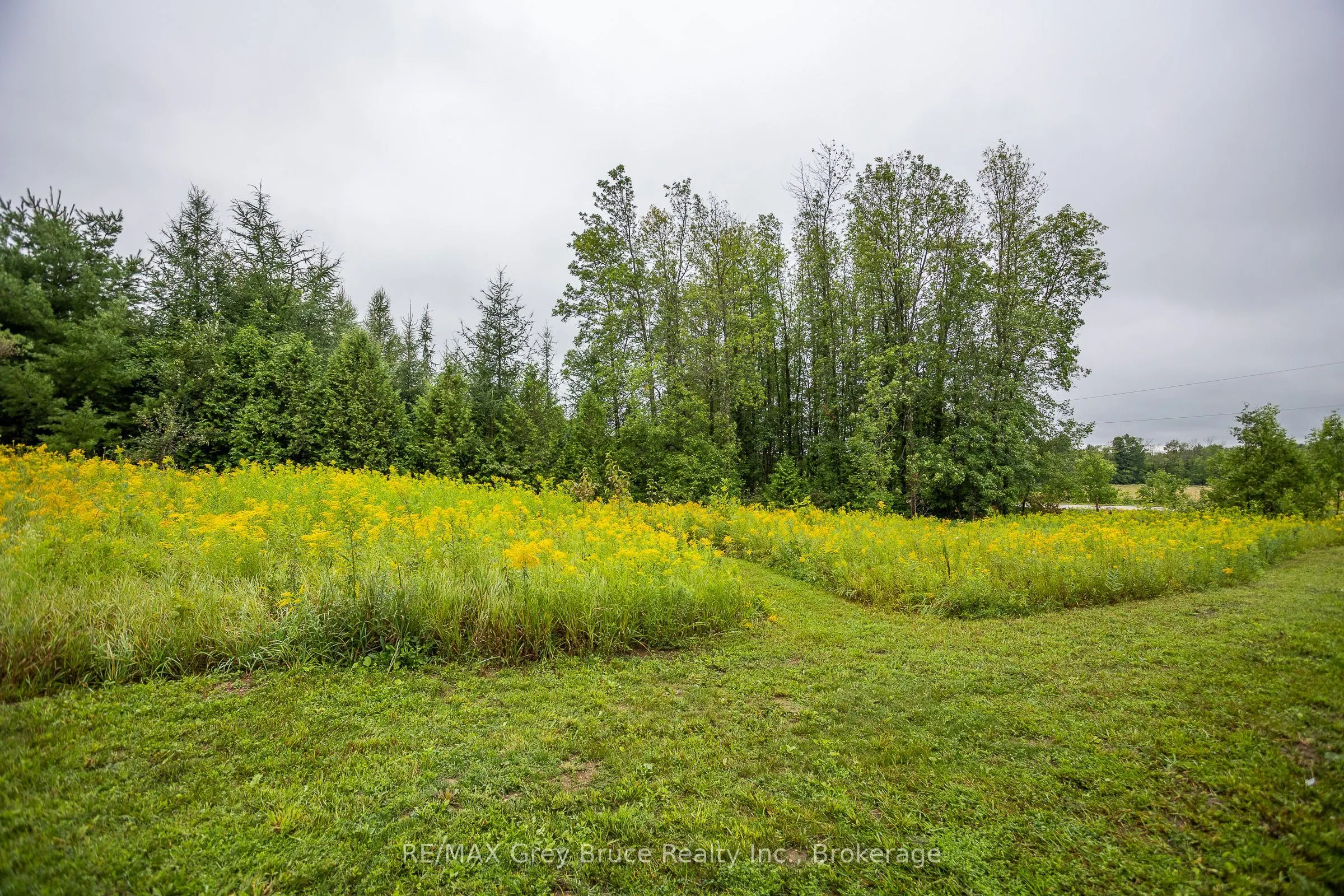 101530 Side Road 9